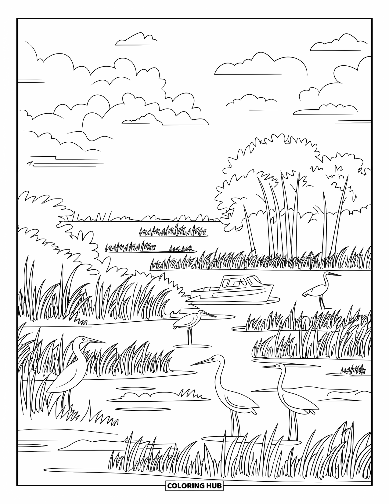 Florida Coloring Page for Adults: Everglades wetlands show tall grasses, mangroves, an airboat, and herons