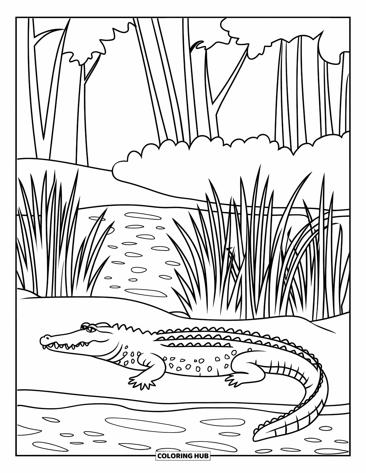 Florida Coloring Page for Kids: An alligator rests by a river surrounded by tall grasses