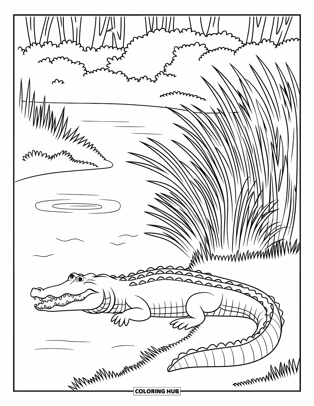 Florida Coloring Page for Kids: An open-mouthed alligator rests near tall grasses by the river