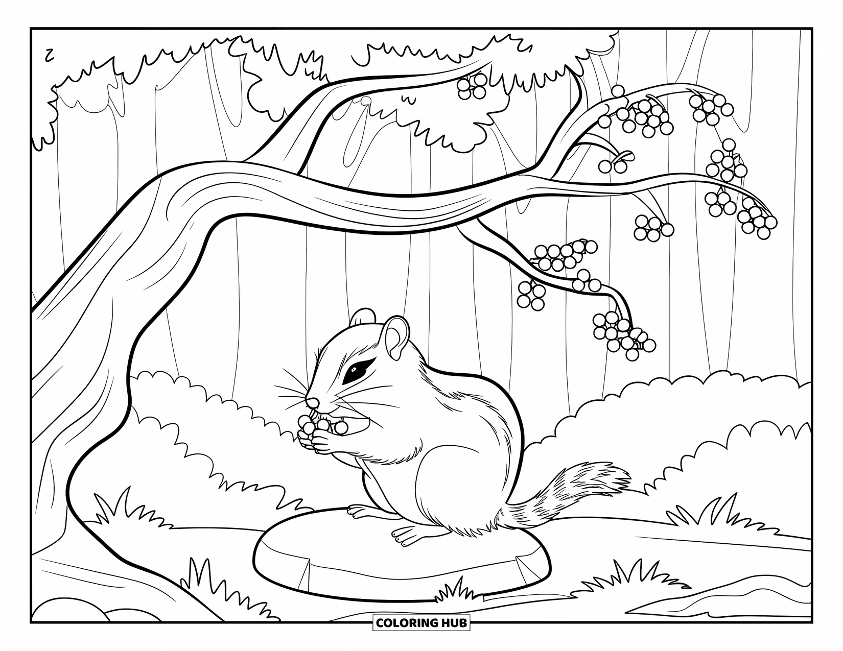 Forest Animals Coloring Page for Kids: A chipmunk with berries sitting under a forest tree