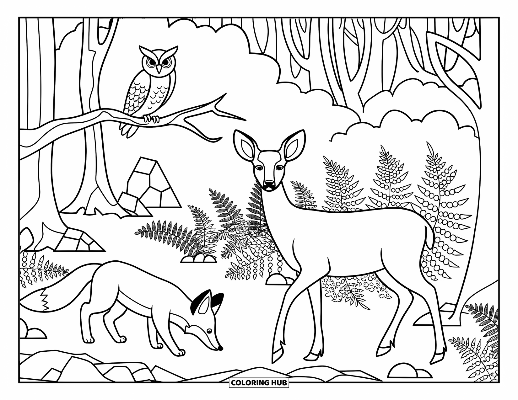 Forest Animals Coloring Page for Kids: A fox, owl, and deer explore a forest trail together