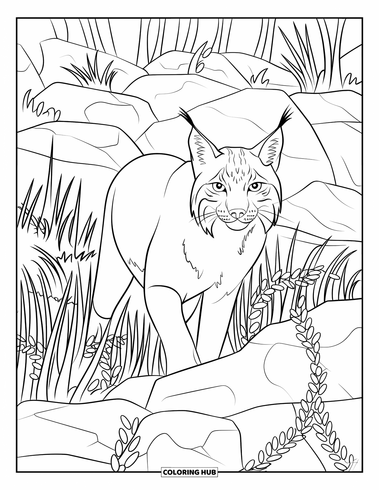 Forest Animals Coloring Page for Kids: A lynx walking through tall grass and vines in the forest