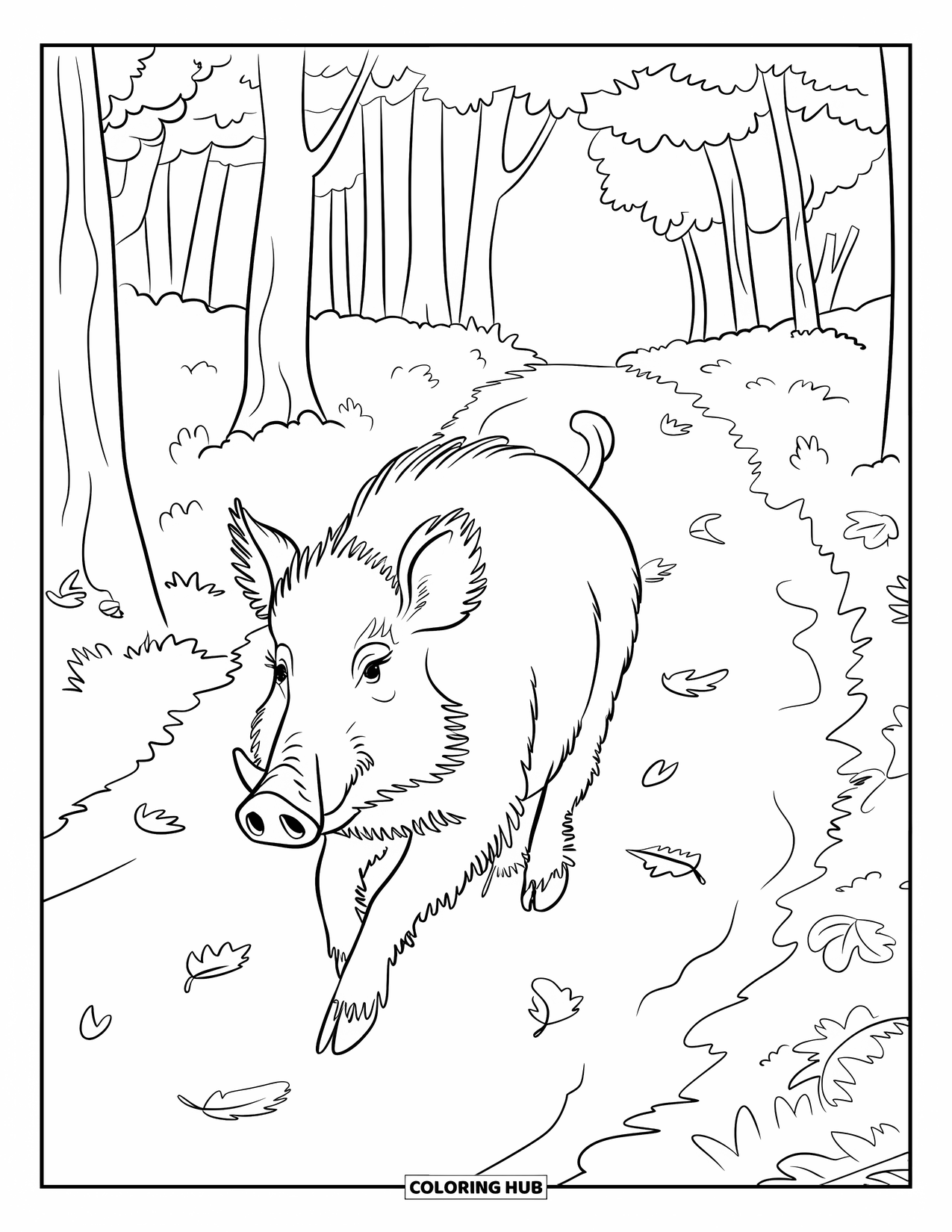 Forest Animals Coloring Page for Kids: Boar running along a leafy forest trail surrounded by tall trees