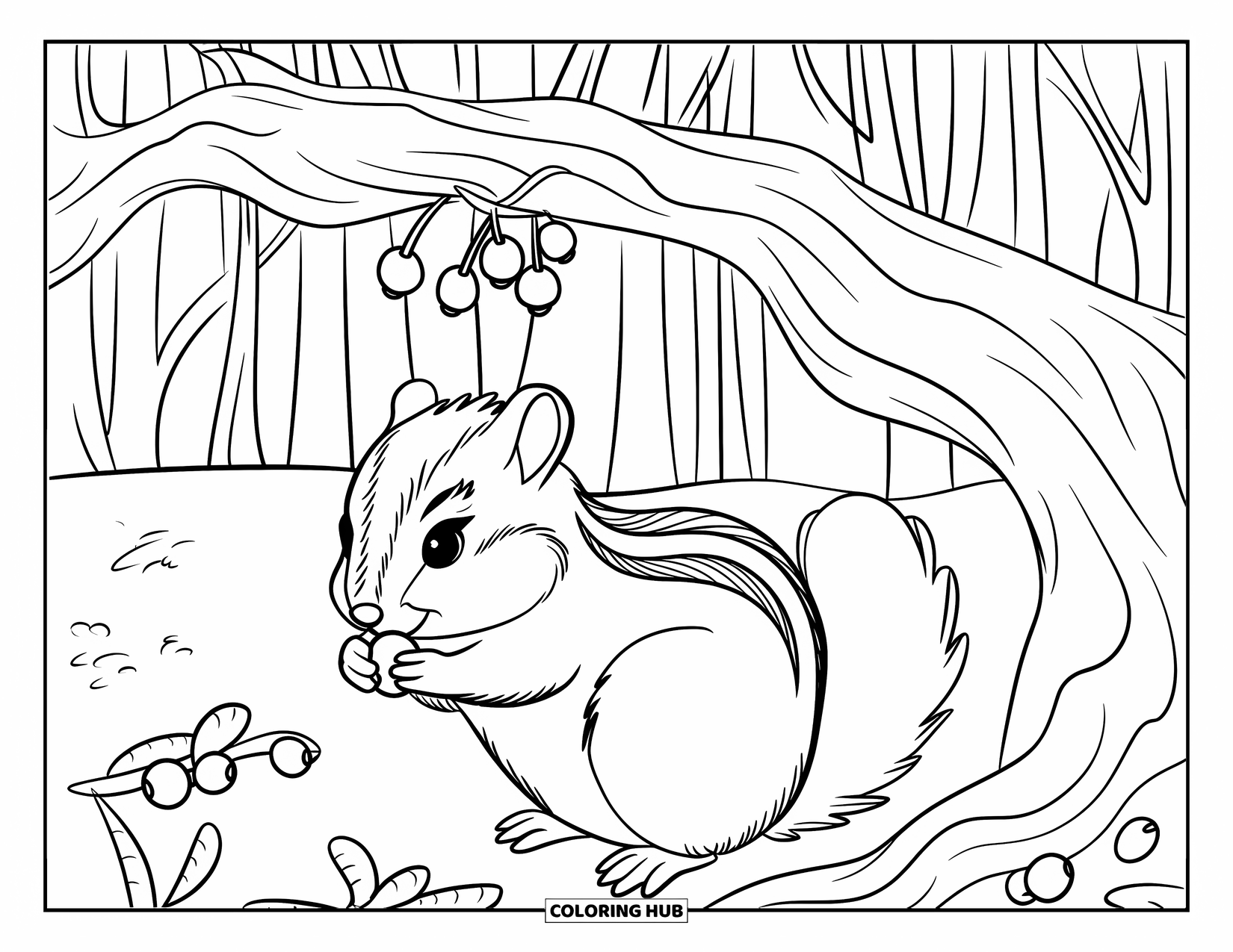 Forest Animals Coloring Page for Kids: Chipmunk enjoying berries beneath a twisted branch in the forest