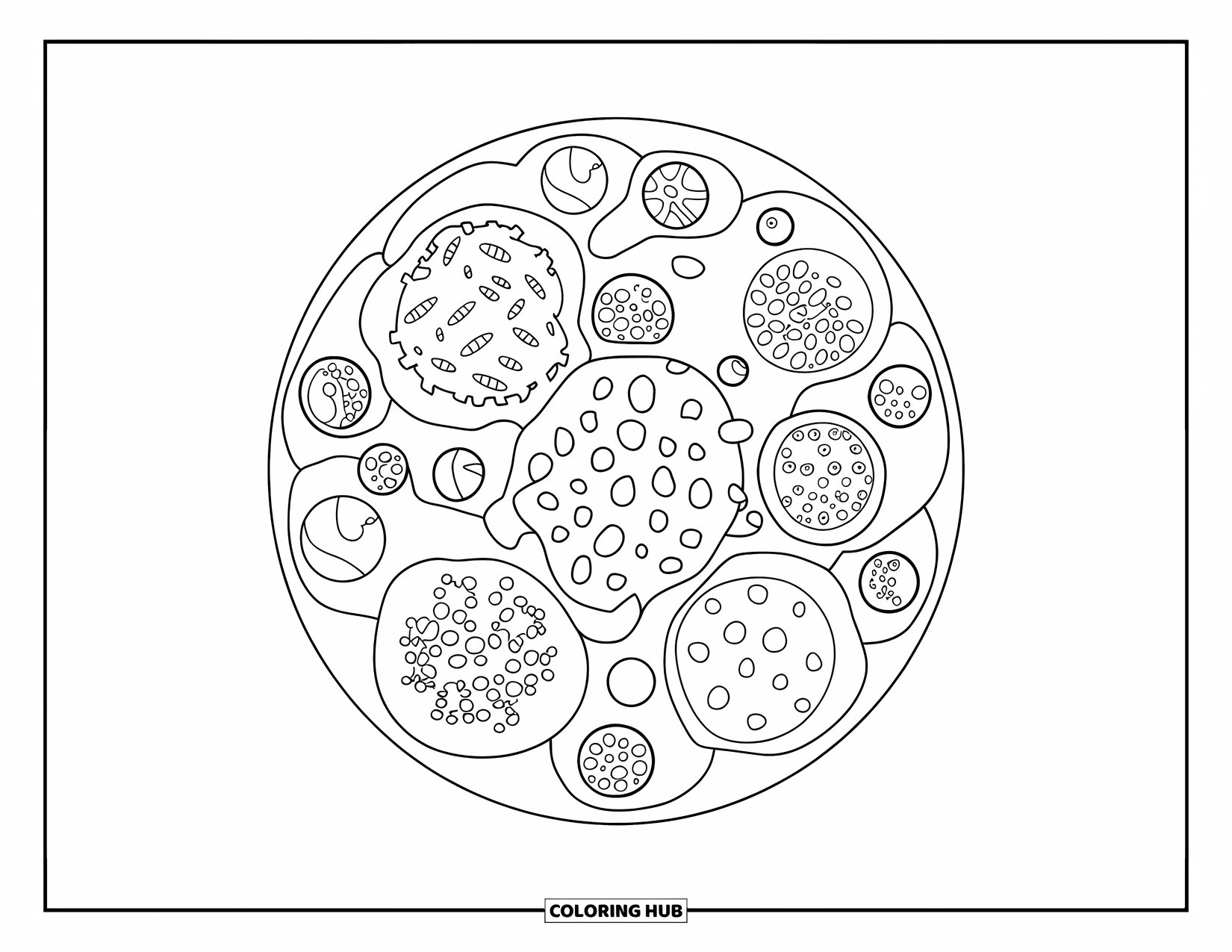 Germ Coloring Page for Kids: Microscope view of patterned circular germs