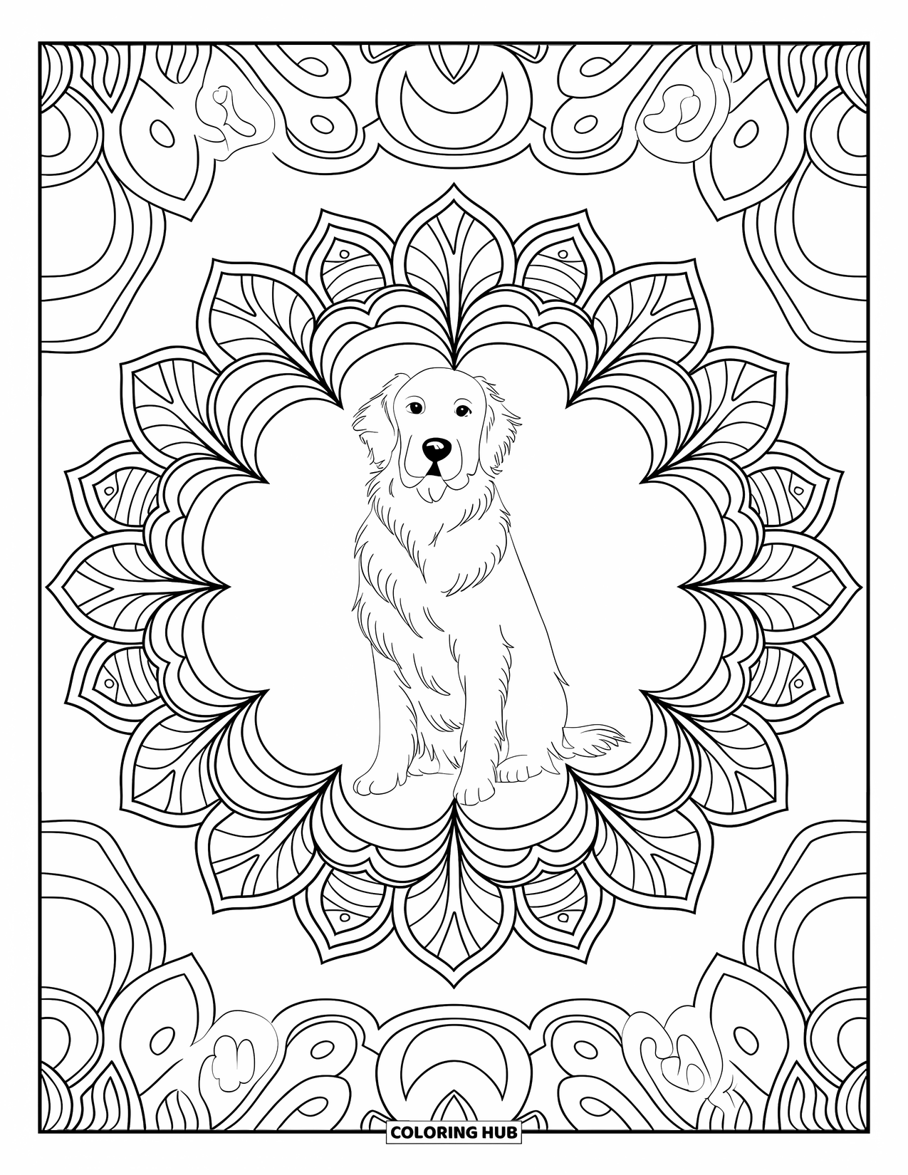 Golden Retriever Coloring Page for Adults: The retriever sits serenely inside a mandala with detailed flowers and leaves