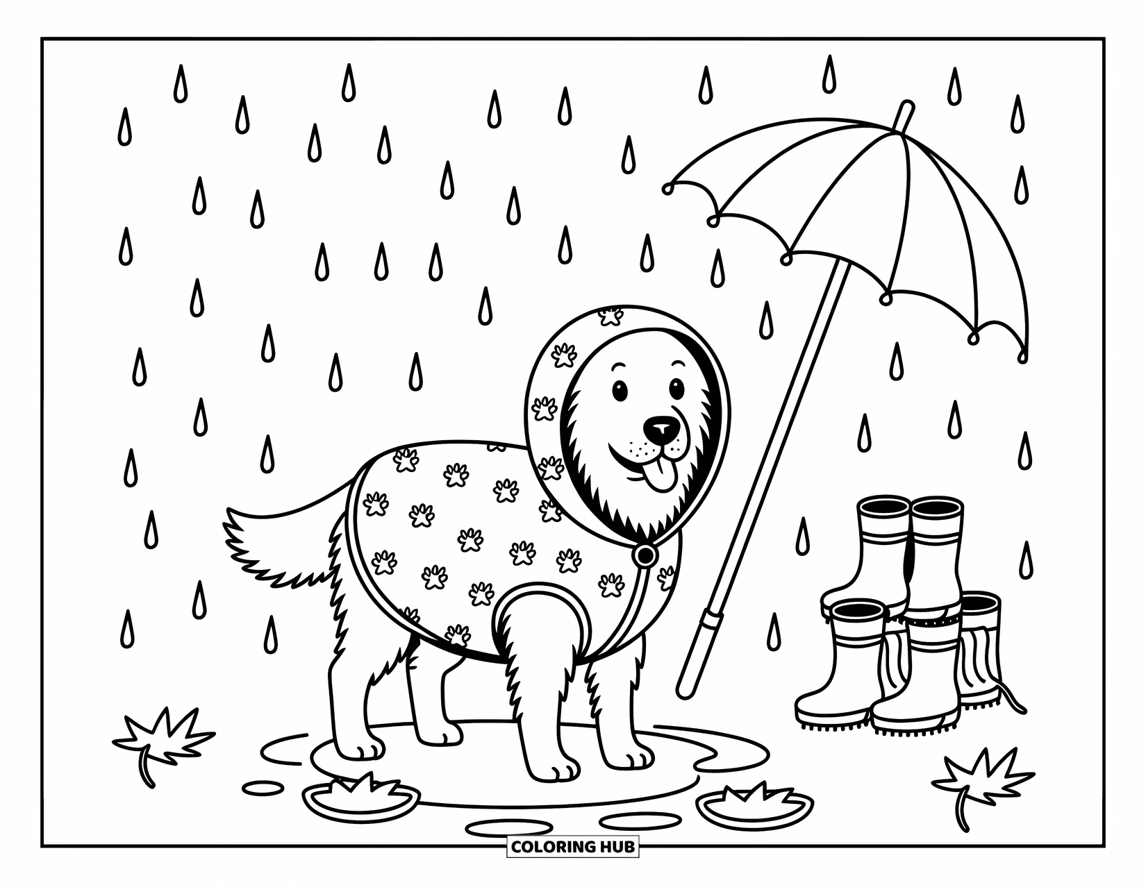 Golden Retriever Coloring Page for Adults: The retriever stands in a puddle with floating leaves, a raincoat, and stacked boots nearby