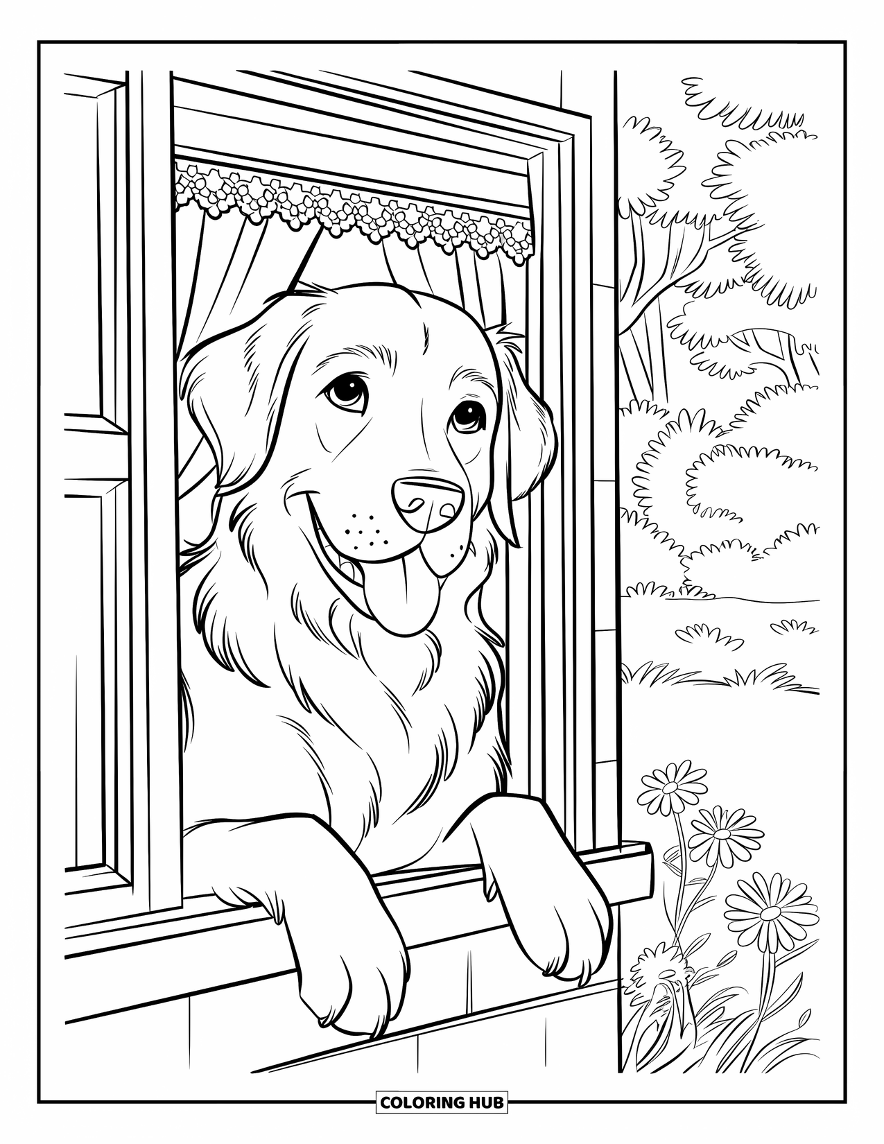 Golden Retriever Coloring Page for Kids: The dog peeks out of a window with paws on the sill