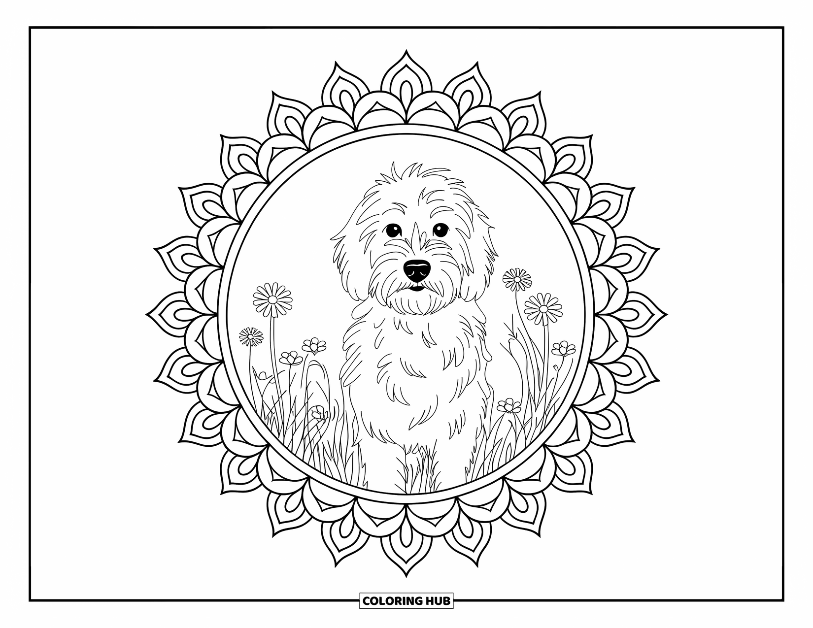 Goldendoodle Coloring Page for Adults: Goldendoodle in a flower field framed by a mandala border