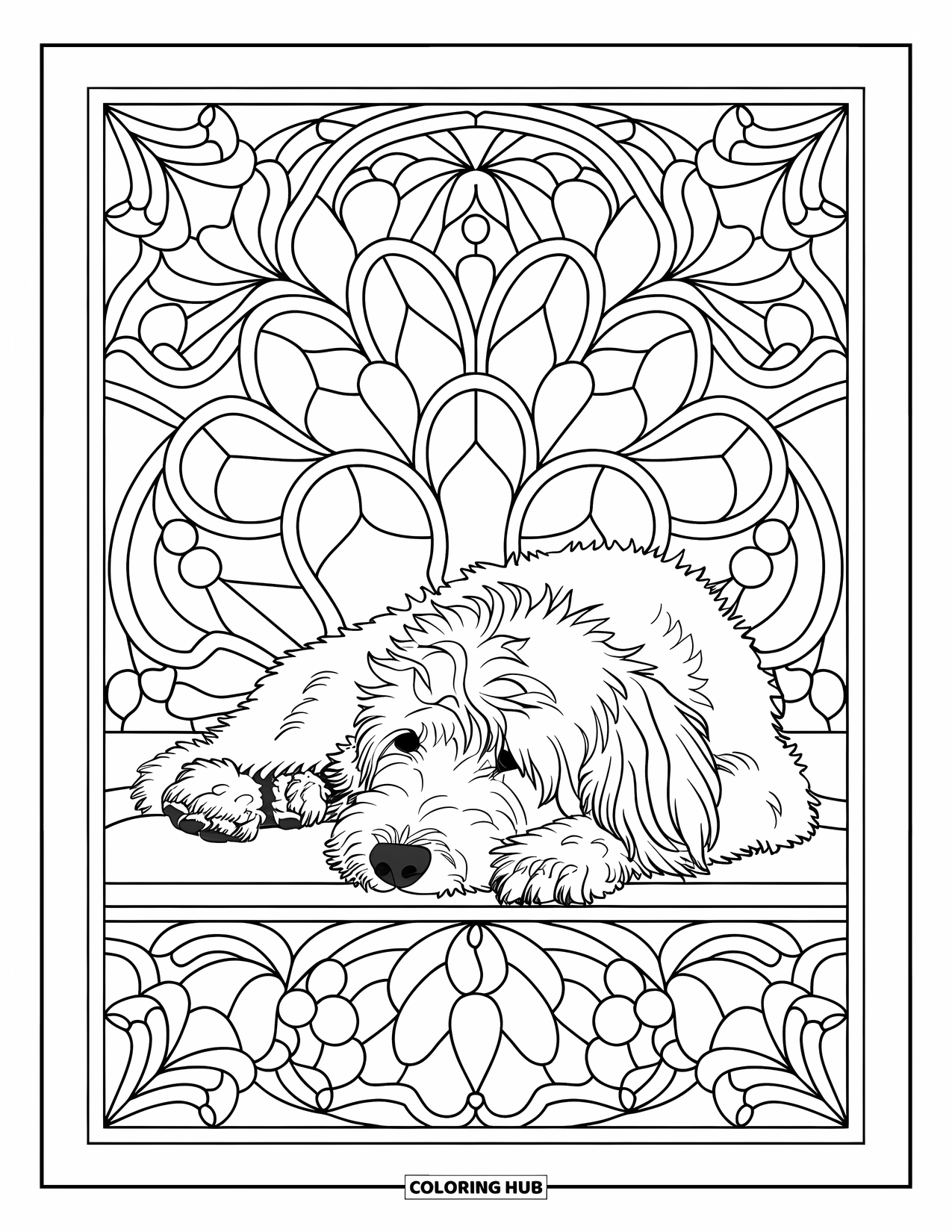 Goldendoodle Coloring Page for Adults: Goldendoodle lying with head on paws framed by stained-glass florals