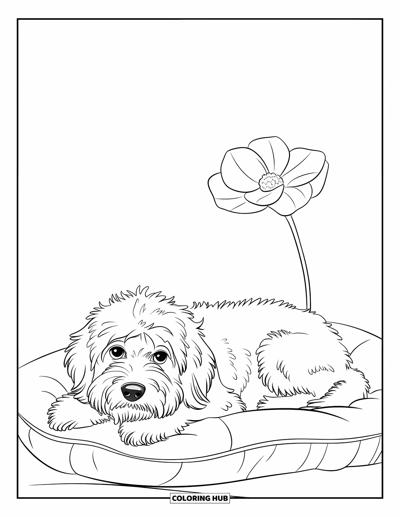 Goldendoodle Coloring Page for Kids: Goldendoodle lying on a cushion with a flower in the corner
