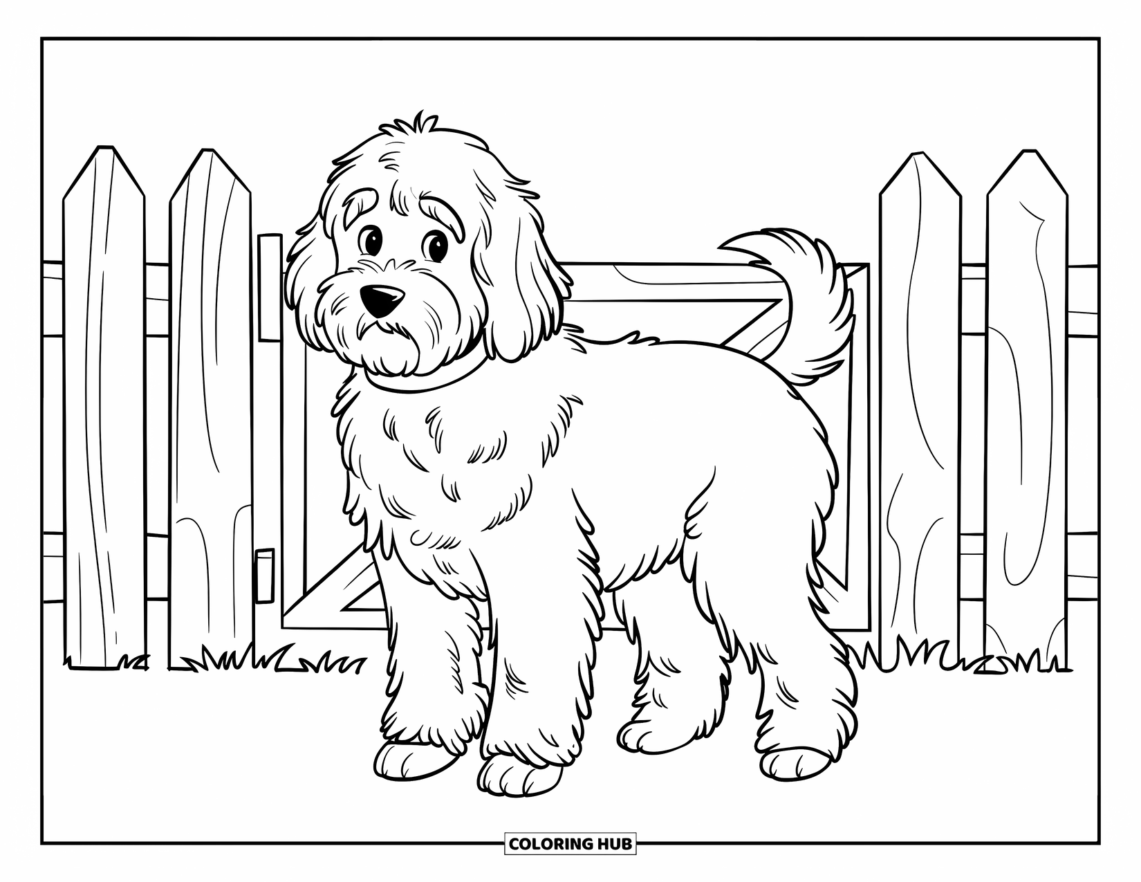 Goldendoodle Coloring Page for Kids: Goldendoodle standing before a simple wooden fence with a gate