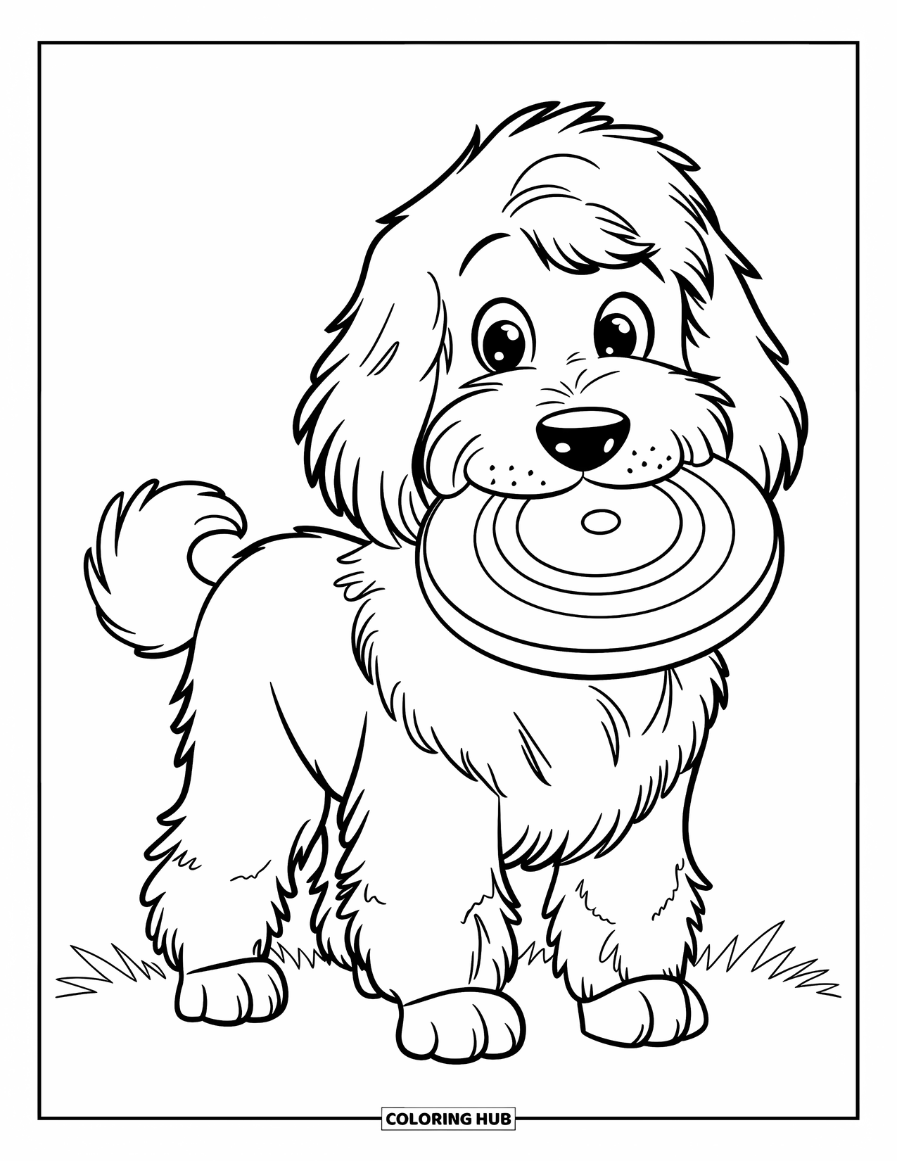 Goldendoodle Coloring Page for Kids: Goldendoodle with floppy ears holding a frisbee on short grass