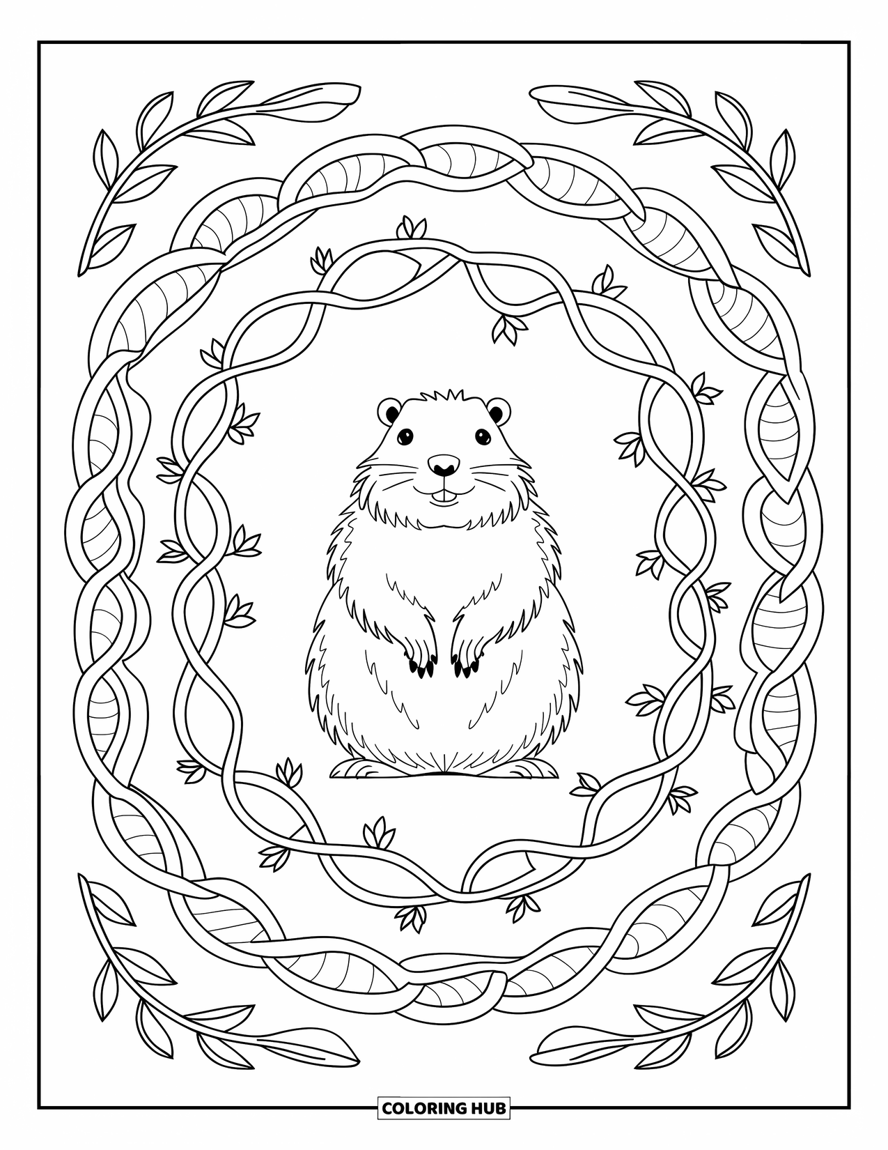 Groundhog Coloring Page for Adults: Groundhog framed by vines and petals on plain background