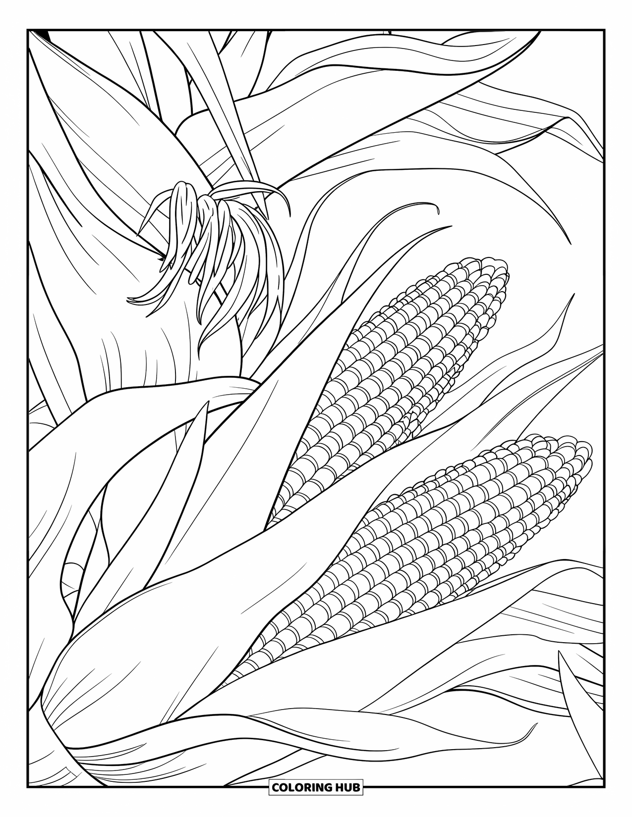 Harvest Coloring Page for Adults: Corn husks and ears layered with silk strands in a peaceful close-up view