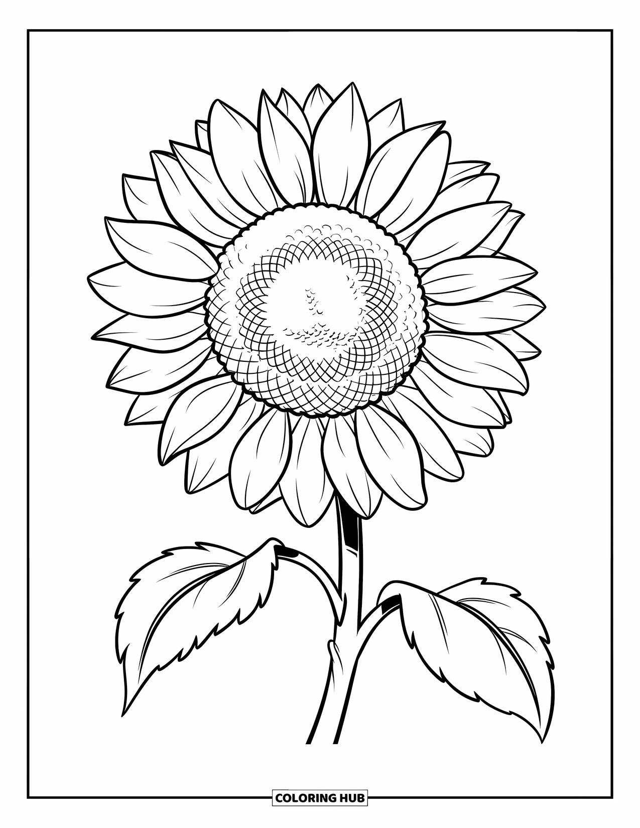 Harvest Coloring Page for Kids: A large sunflower with thick petals and a sturdy curly stem