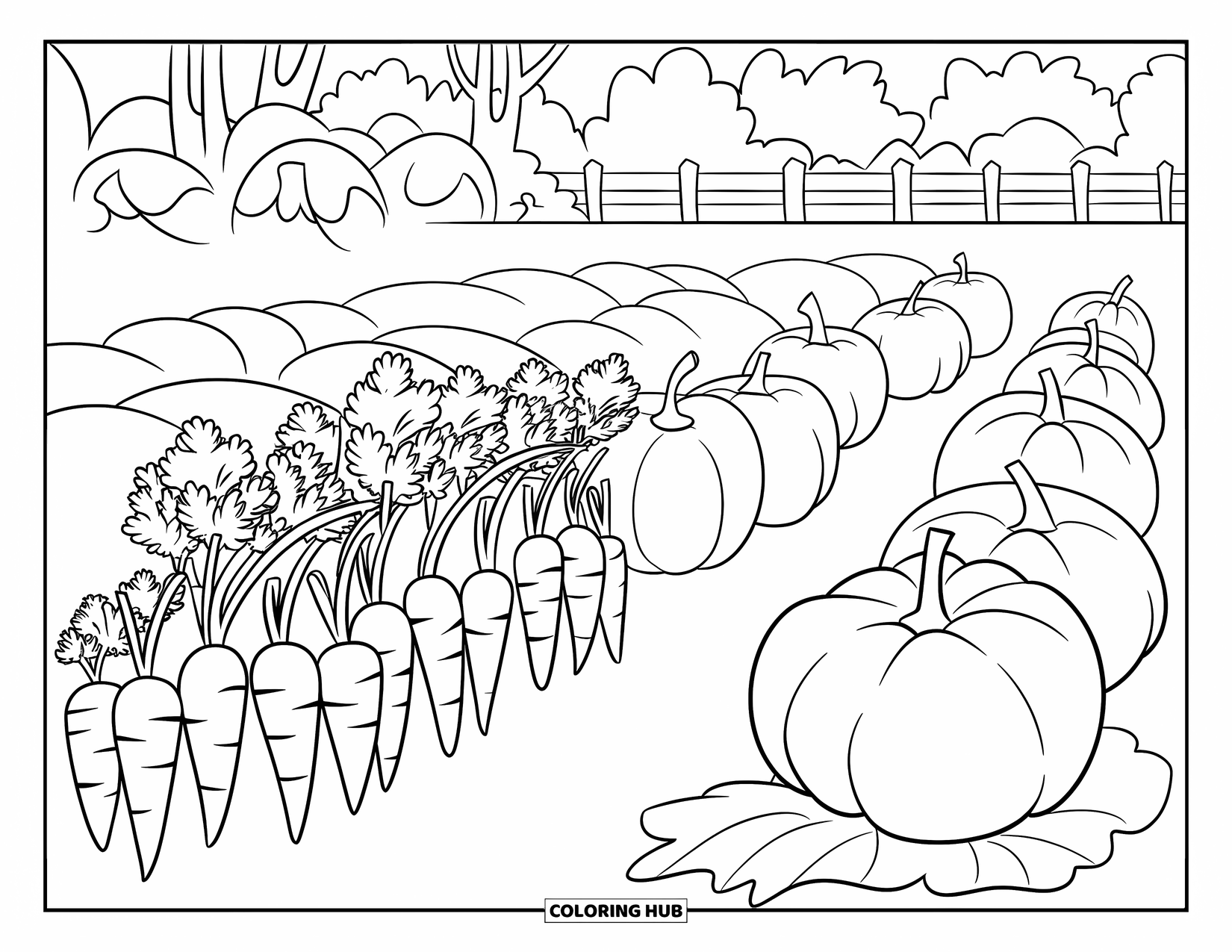 Harvest Coloring Page for Kids: Carrots and pumpkins grow in neat garden rows ready for harvest