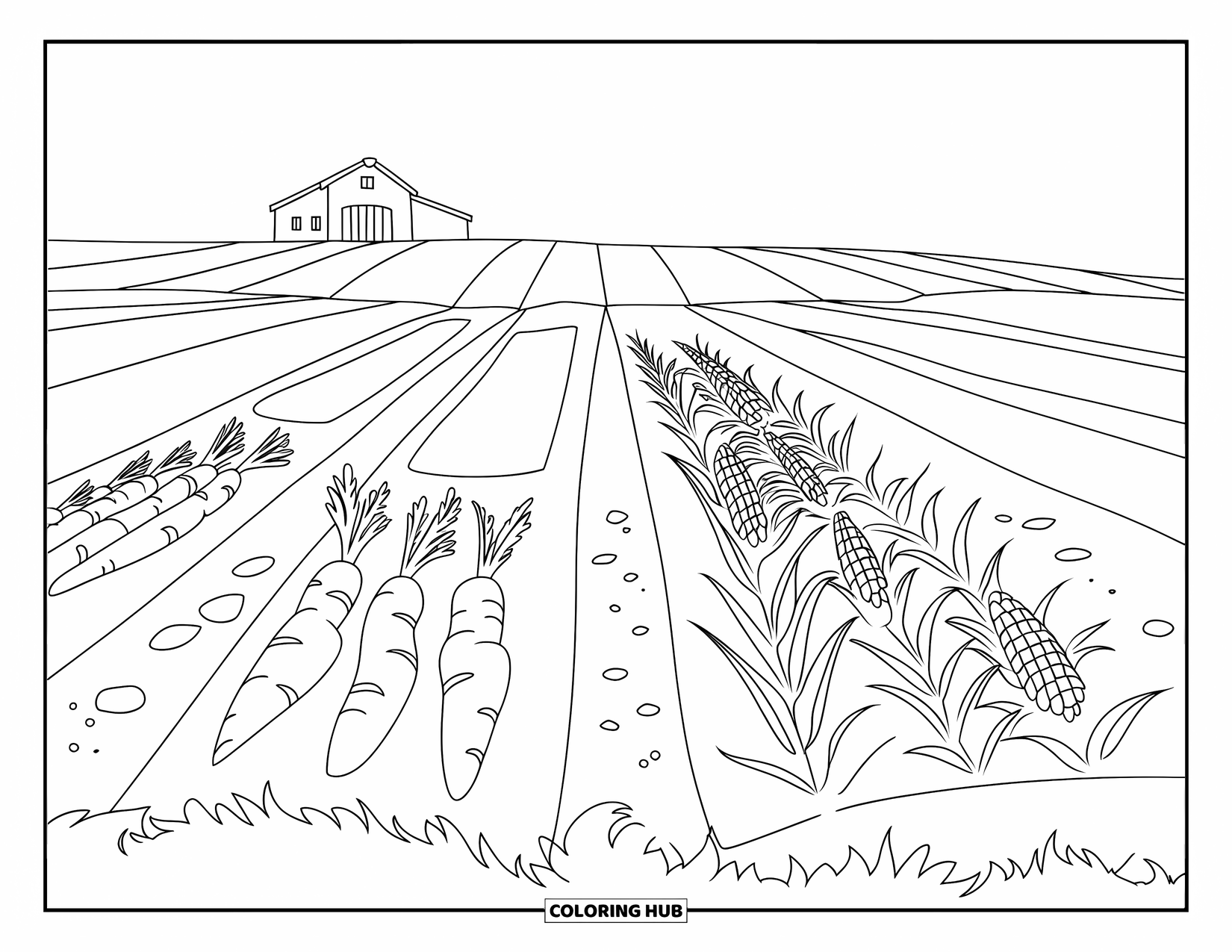 Harvest Coloring Page for Kids: Carrots, potatoes, and corn grow in neat rows near a barn