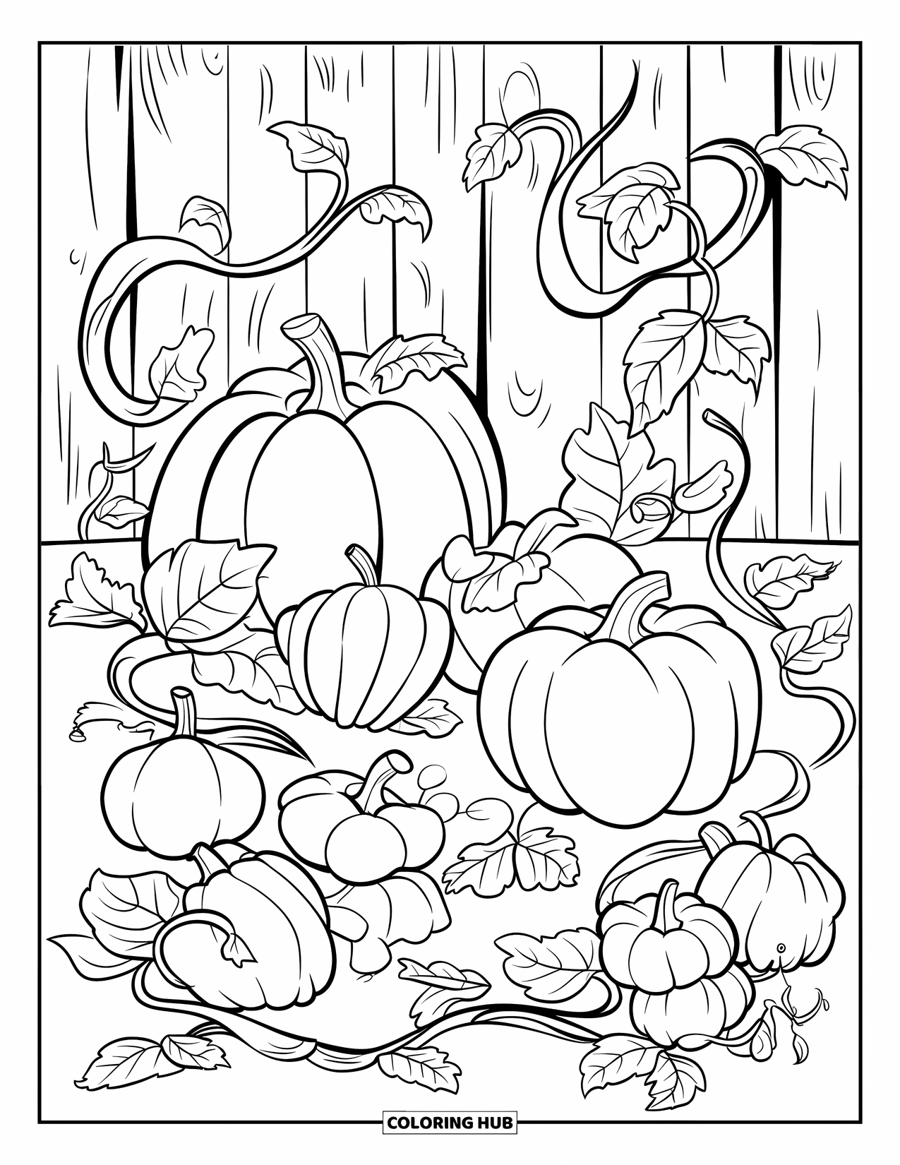 Harvest Coloring Page for Kids: Carved pumpkins and twisting vines fill a lively patch behind a rustic fence