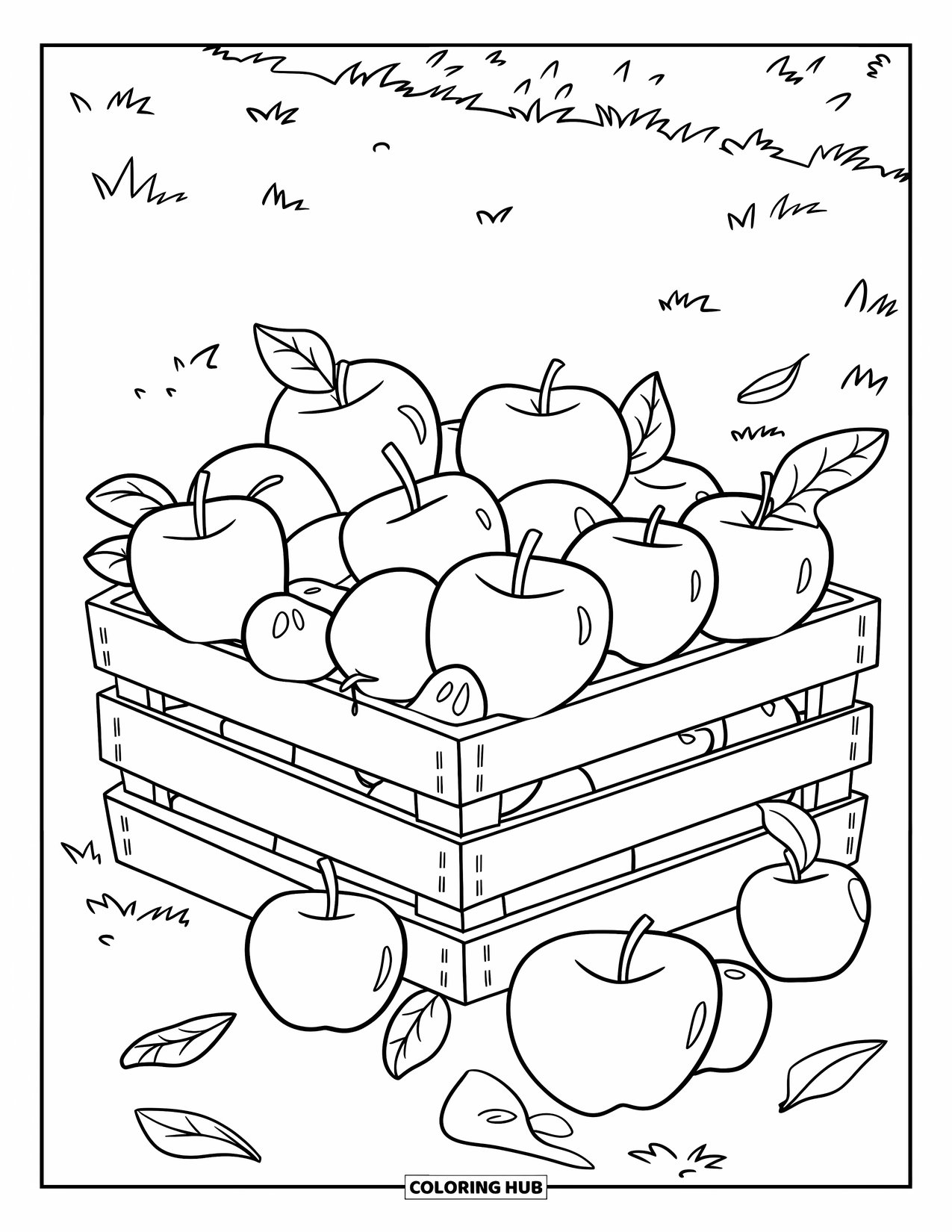 Harvest Coloring Page for Kids: Fresh apples fill a crate with leaves scattered on grassy ground