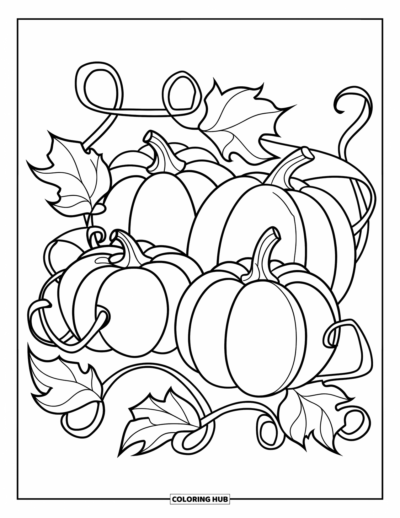 Harvest Coloring Page for Kids: Pumpkins of different sizes with thick vines and wavy leaves