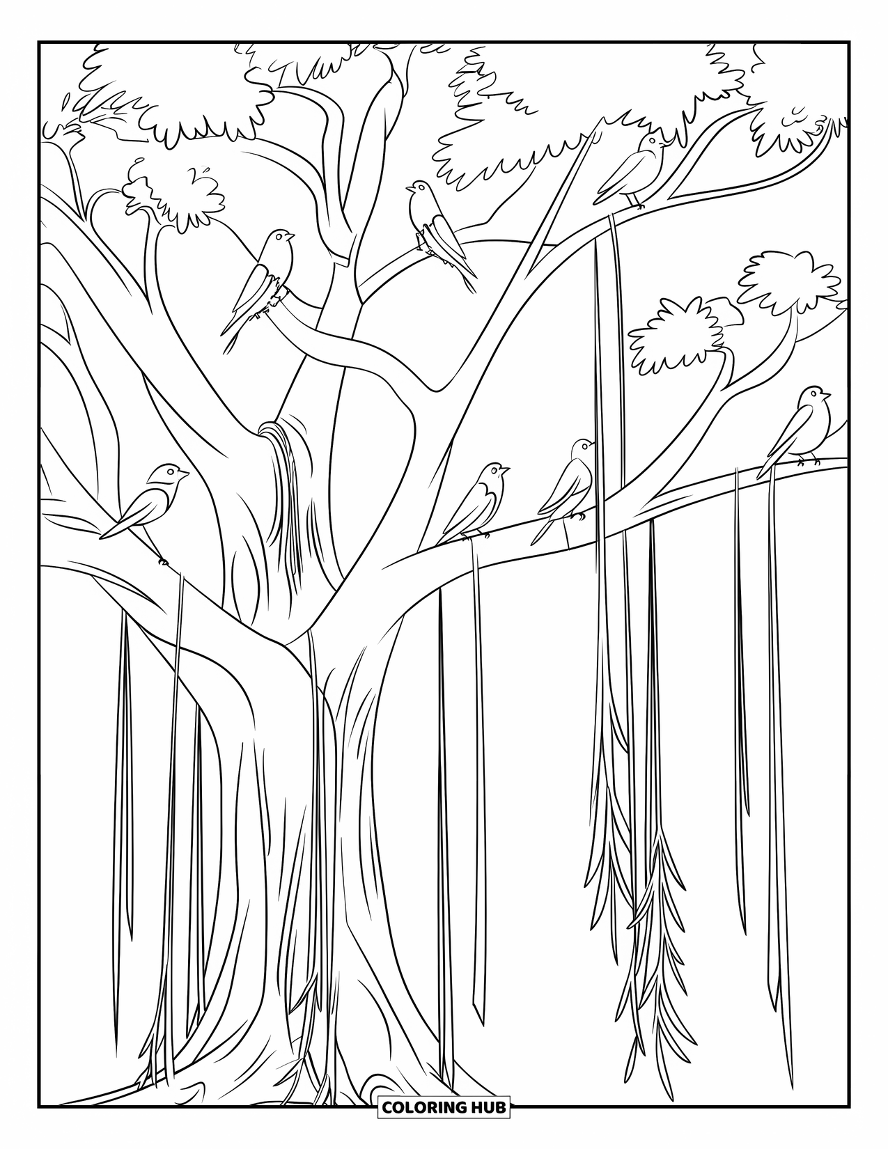 India Coloring Page for Kids: Banyan tree with hanging roots and perched birds