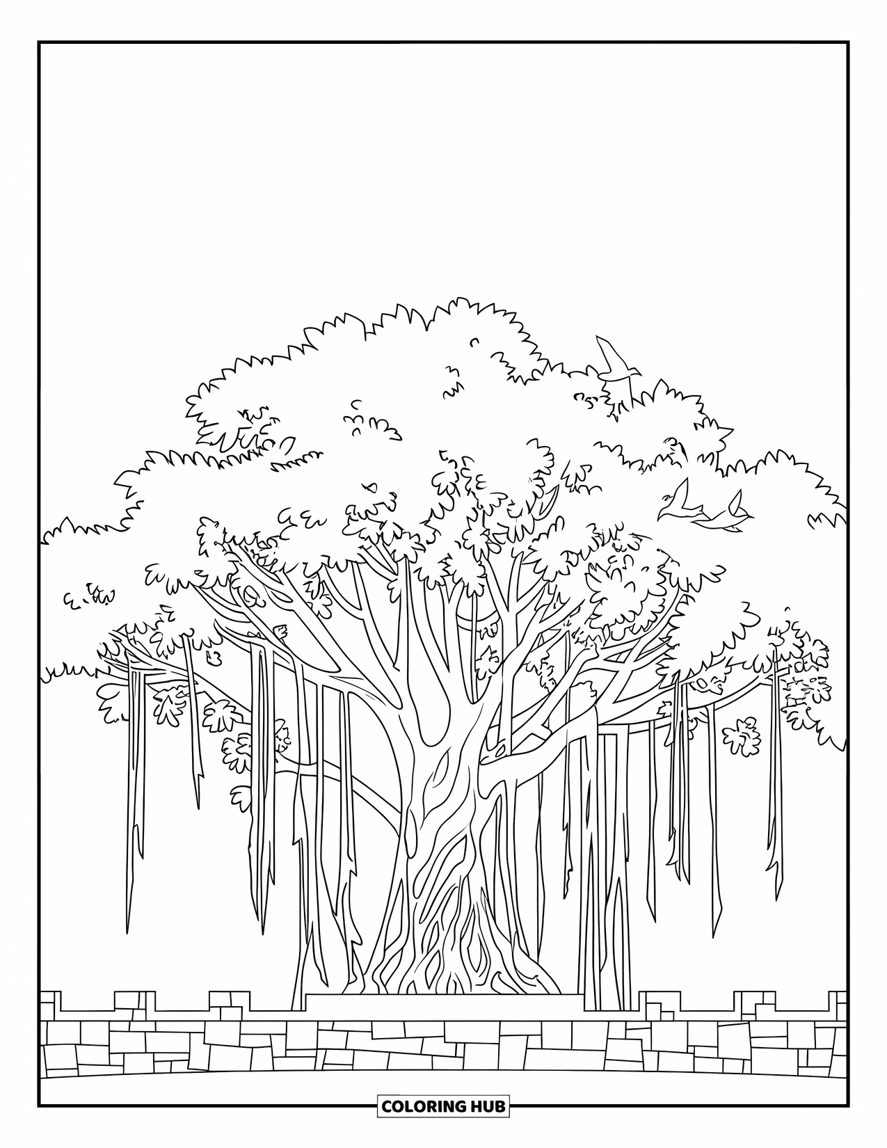 India Coloring Page for Kids: Banyan tree with roots and a stone structure