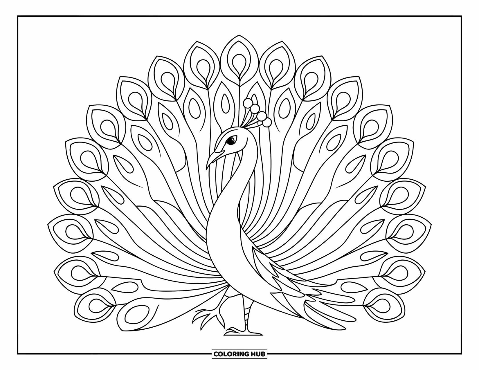India Coloring Page for Kids: Peacock with spread feathers in a simple design