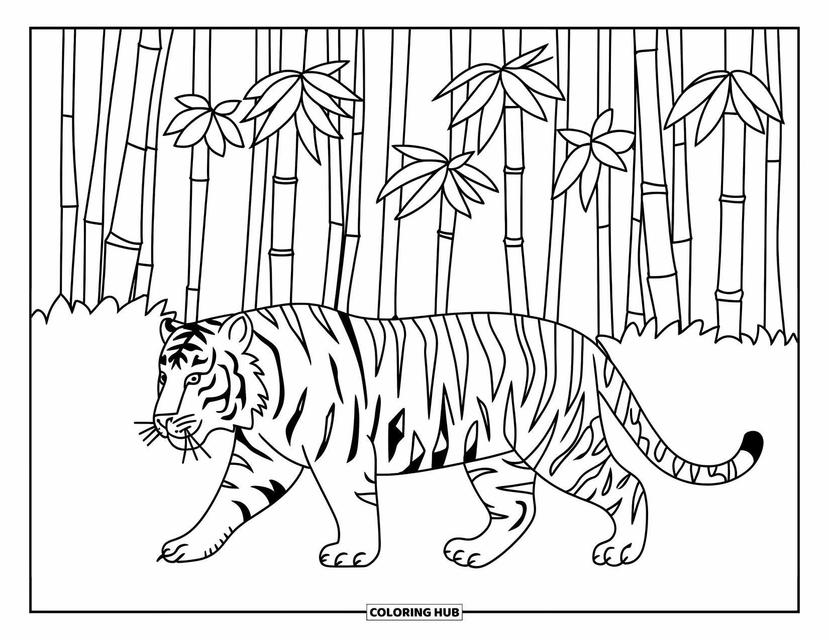 India Coloring Page for Kids: Tiger strolling through bamboo trees in a forest