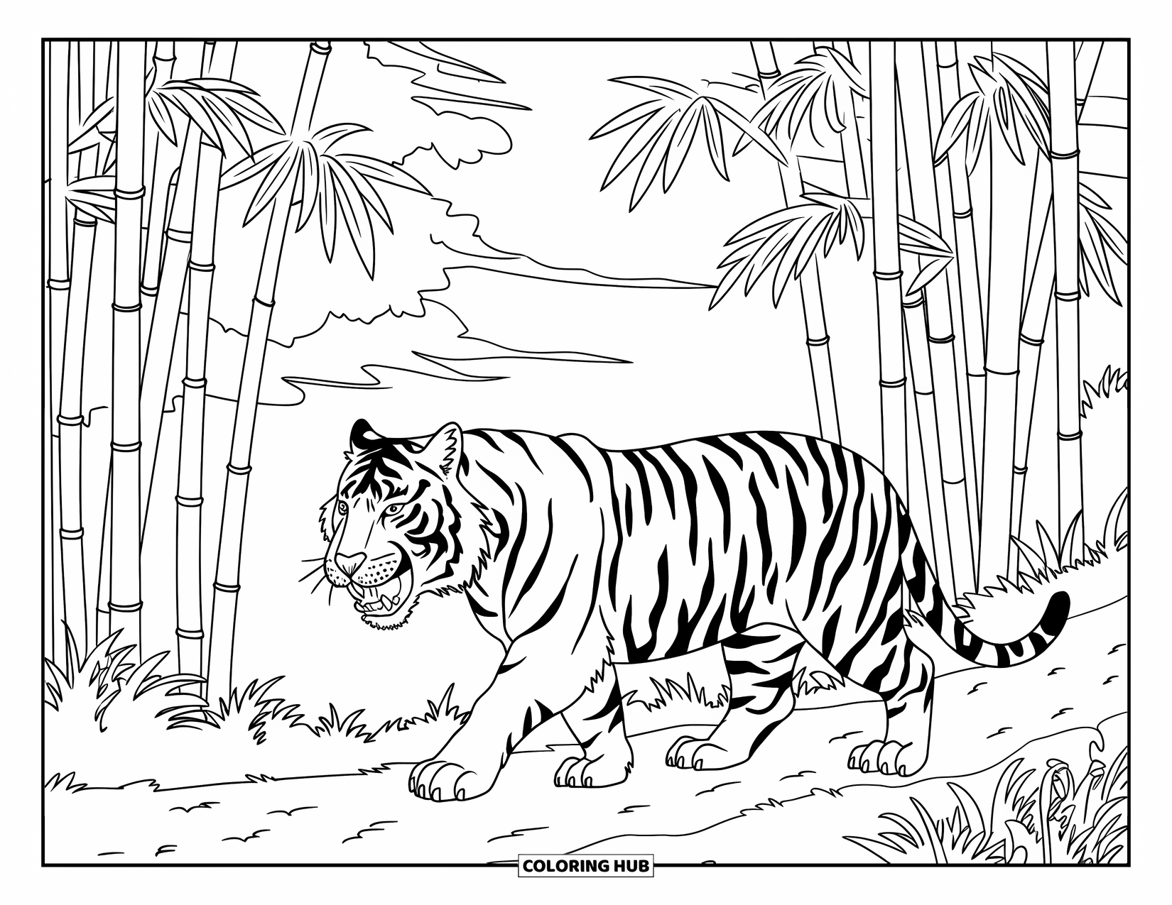 India Coloring Page for Kids: Tiger walking beneath bamboo with clouds above