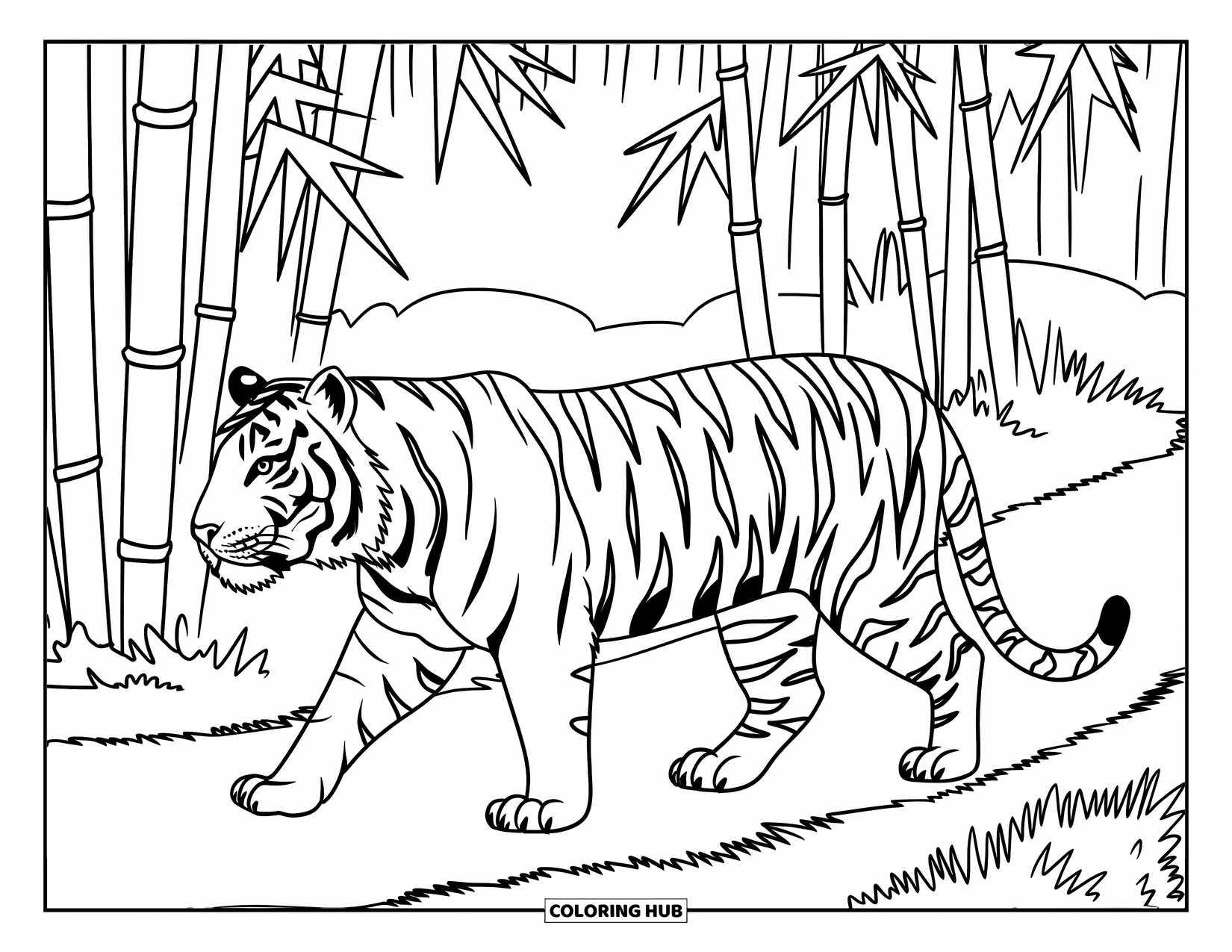 India Coloring Page for Kids: Tiger walking on a bamboo forest path