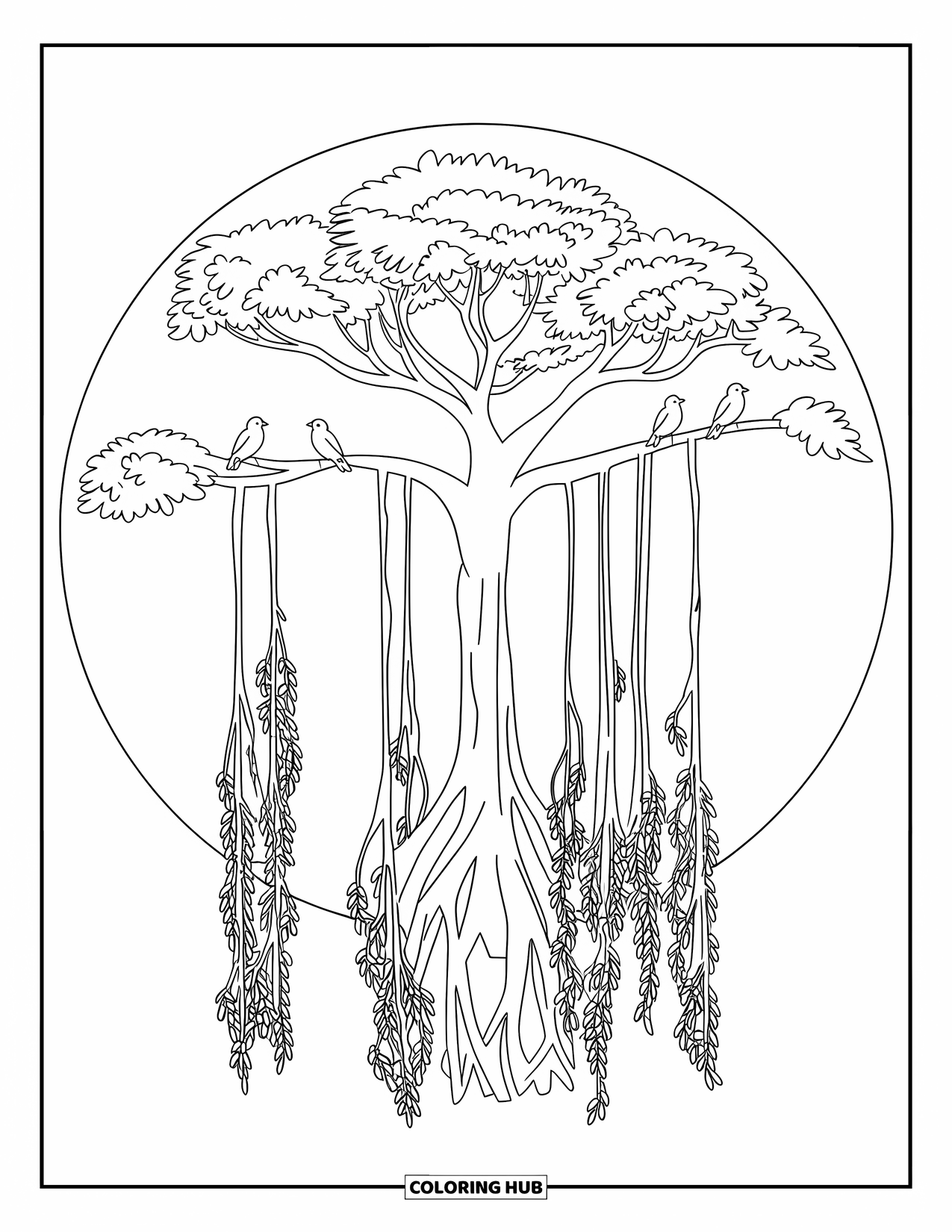 India Coloring Page for Kids: Wide banyan tree with roots twisting downward