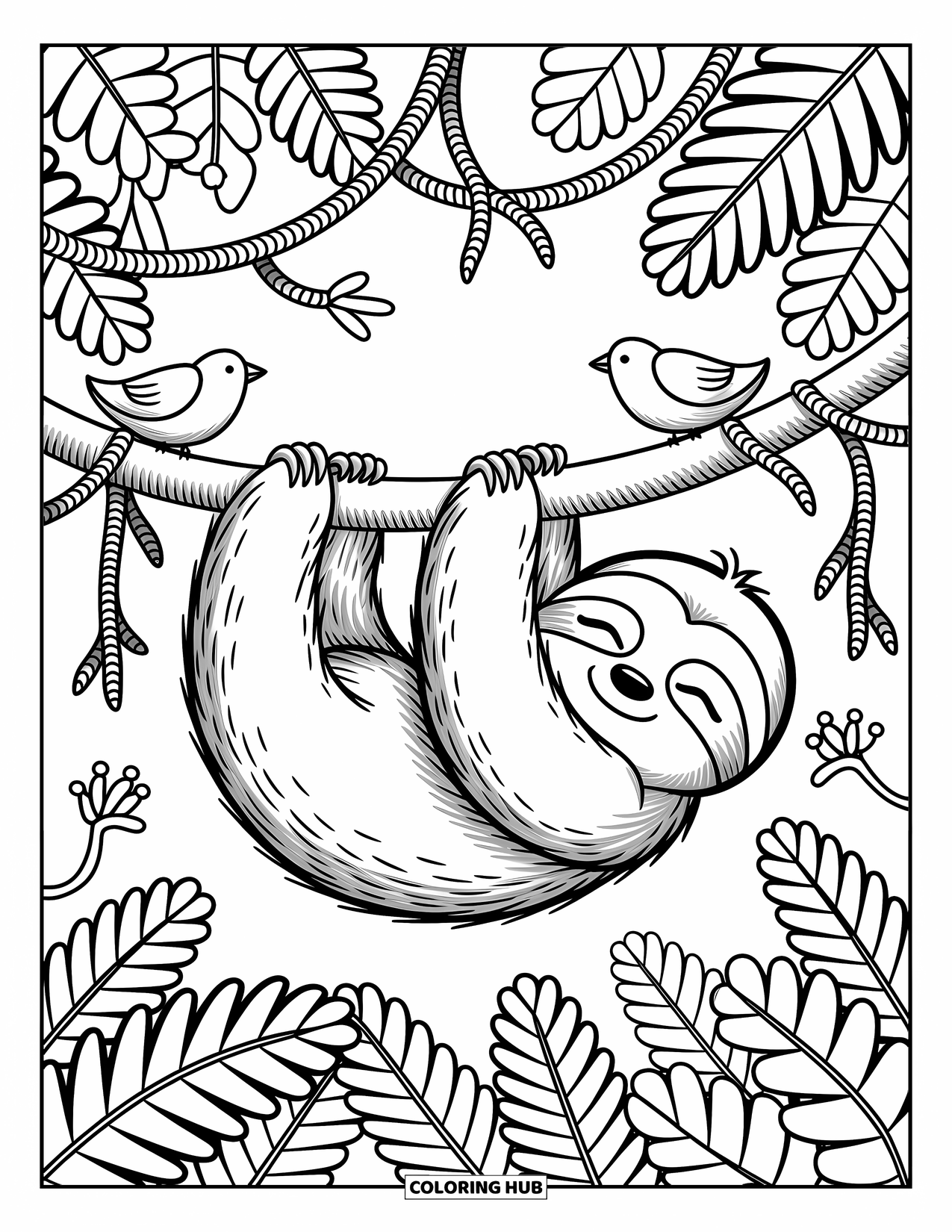 Jungle Animals Coloring Page for Adults: Sloth with half-closed eyes hanging on branch with birds nearby