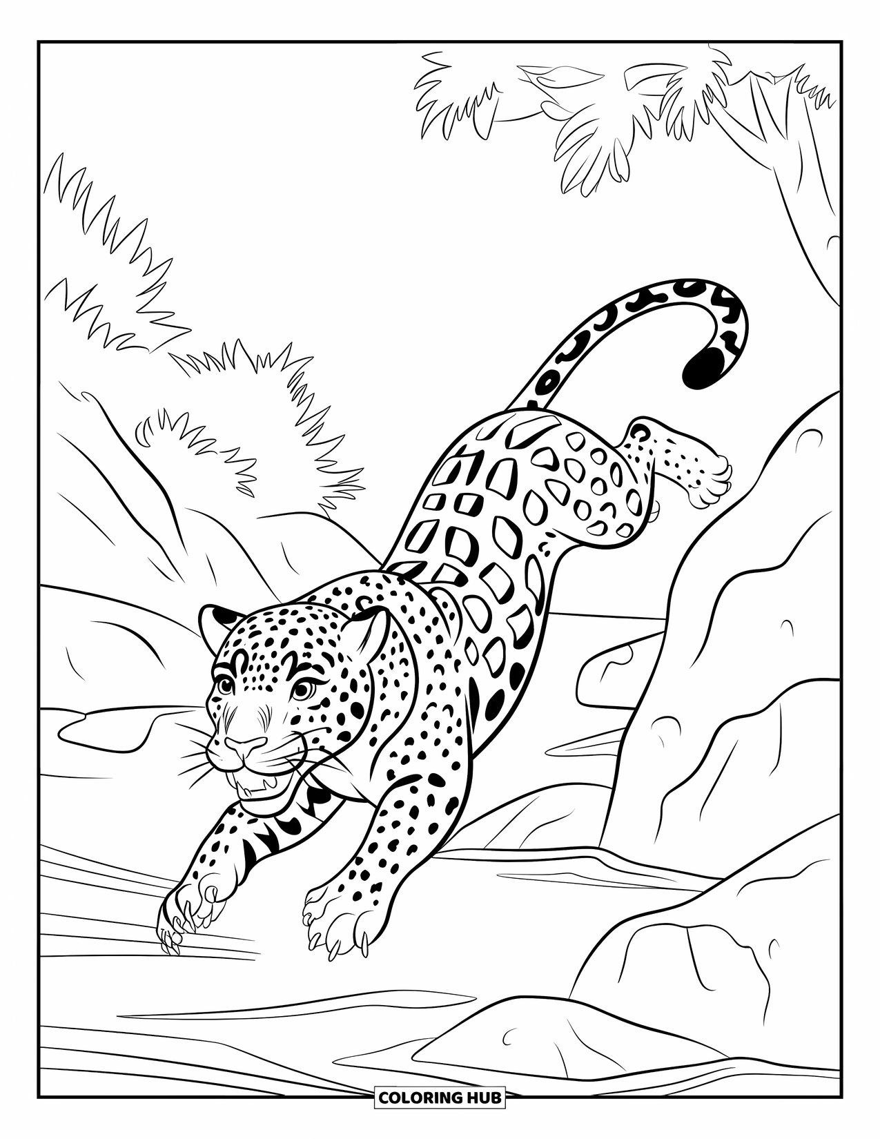 Jungle Animals Coloring Page for Kids: Jaguar roaring while jumping across jungle rocks
