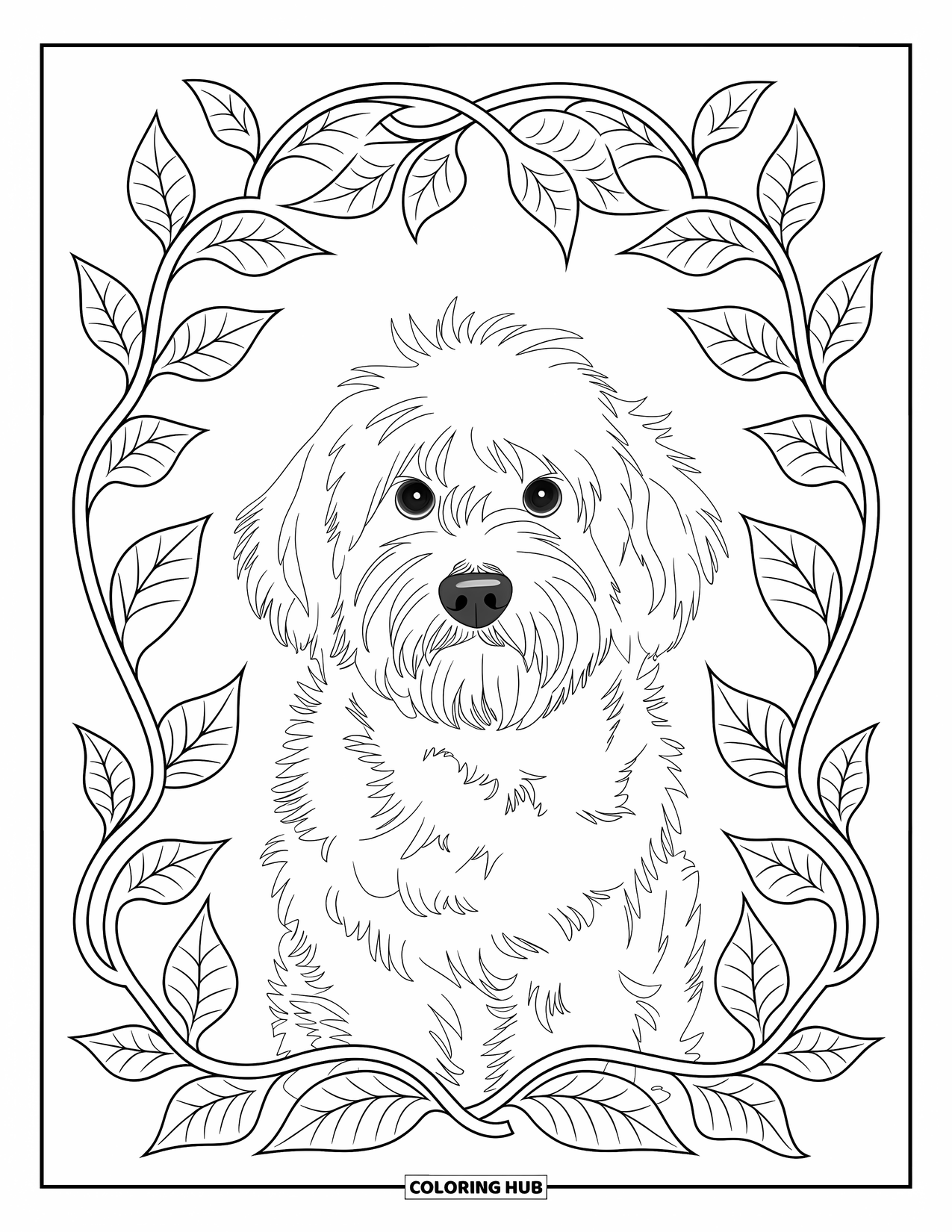 Labradoodle Coloring Page for Adults: Fluffy Labradoodle framed by twisting leafy vines on plain background