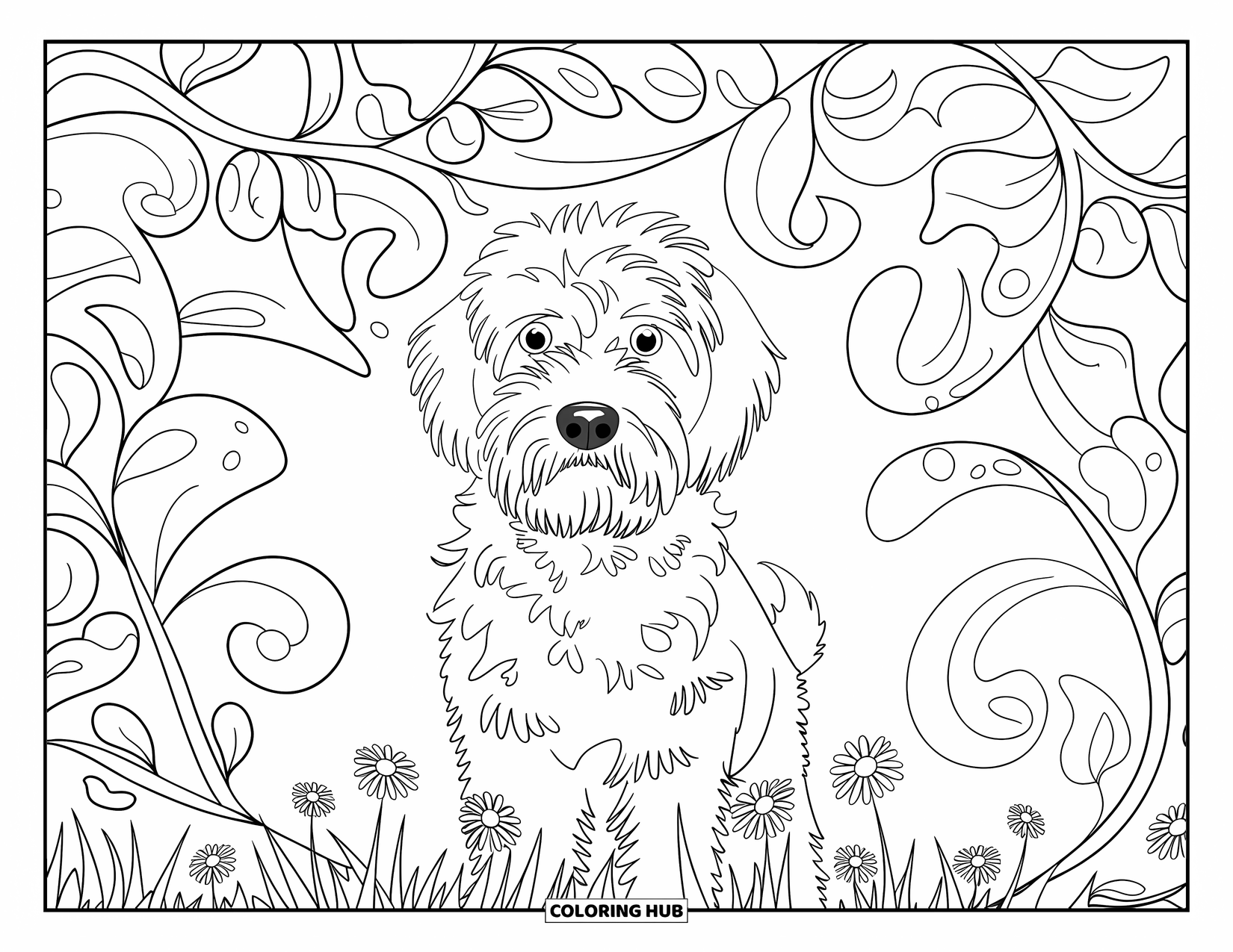Labradoodle Coloring Page for Adults: Labradoodle in a grassy field with daisies and swirling floral patterns