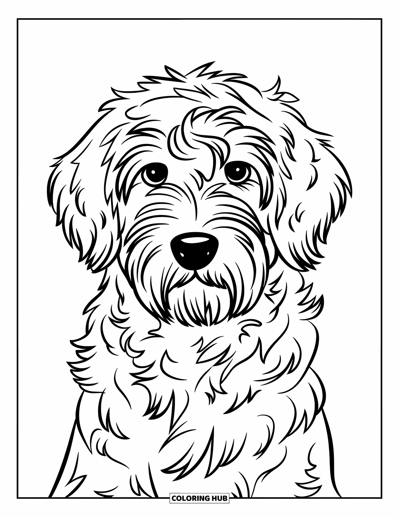 Labradoodle Coloring Page for Kids: Simple close-up of Labradoodle's face looking forward