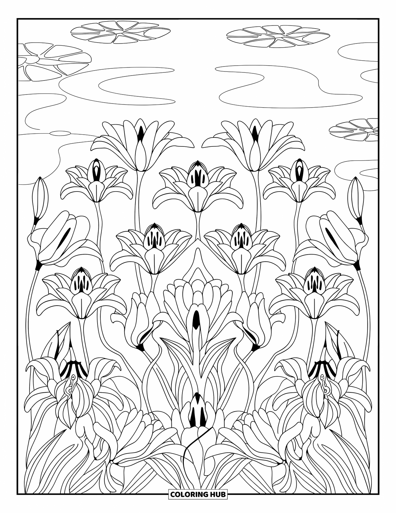 Lily Coloring Page for Adults: Various blooming lilies are arranged around a calm pond with lily pads