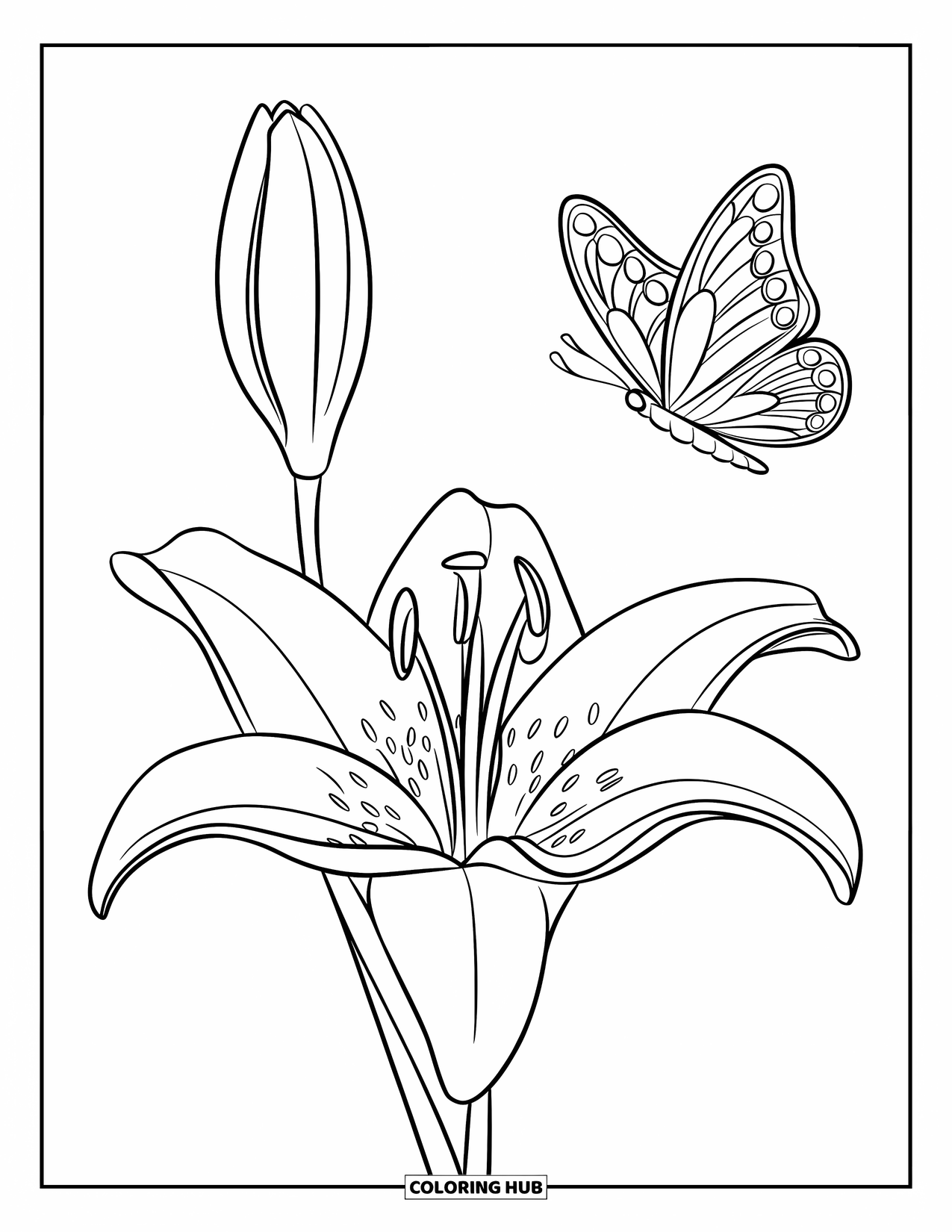 Lily Coloring Page for Kids: A butterfly flies near a bold lily in a simple design