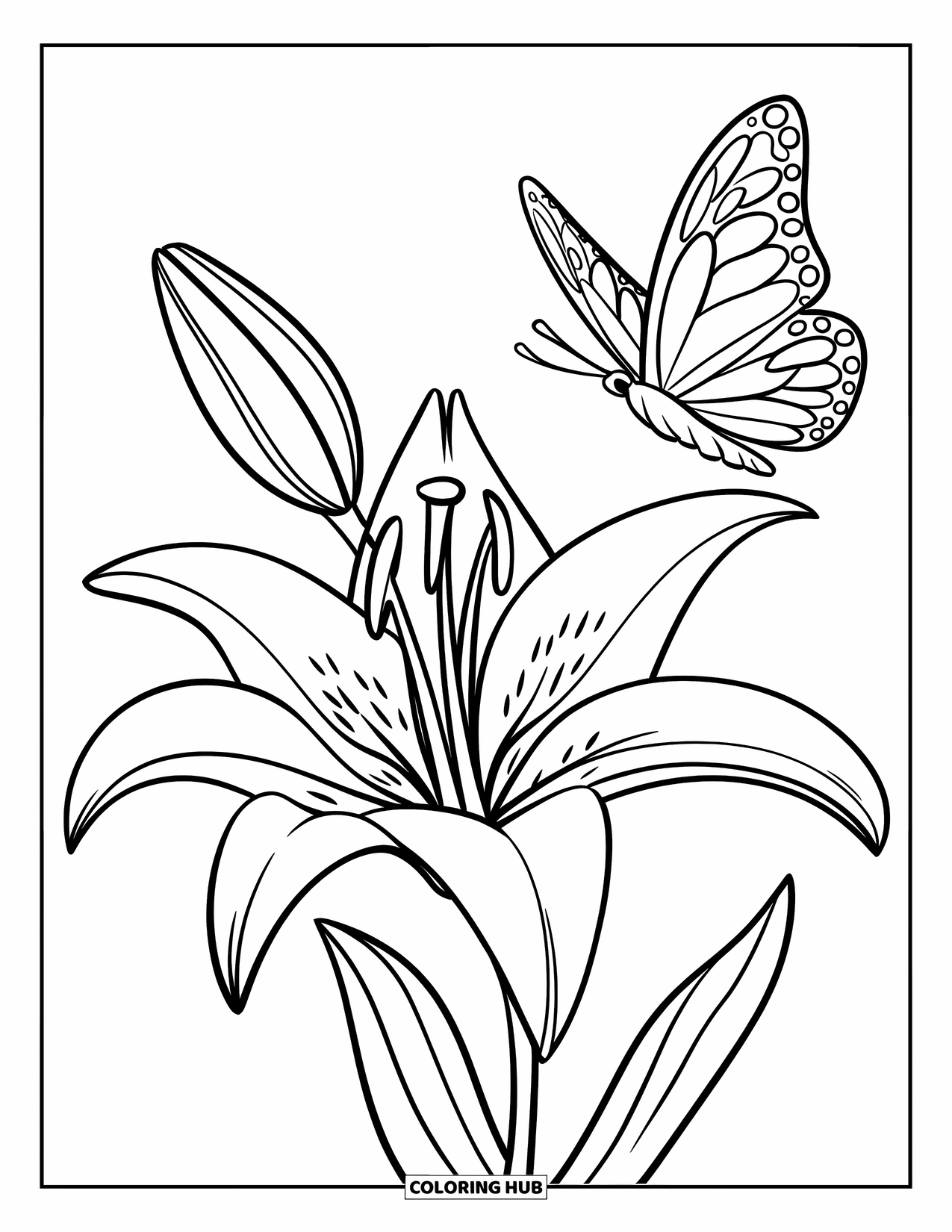 Lily Coloring Page for Kids: A butterfly flutters near the top petal of a large lily