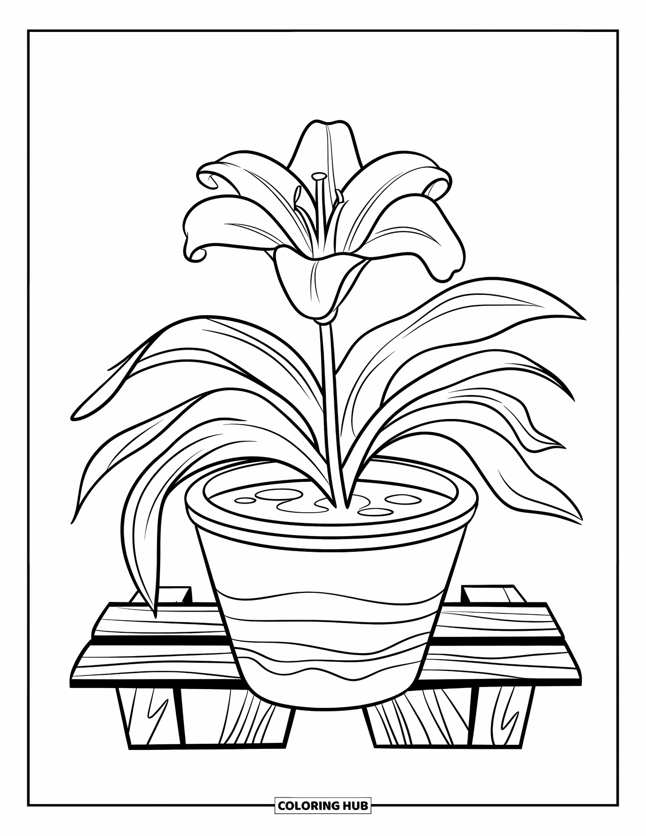 Lily Coloring Page for Kids: A lily grows in a pot above wavy lines of water