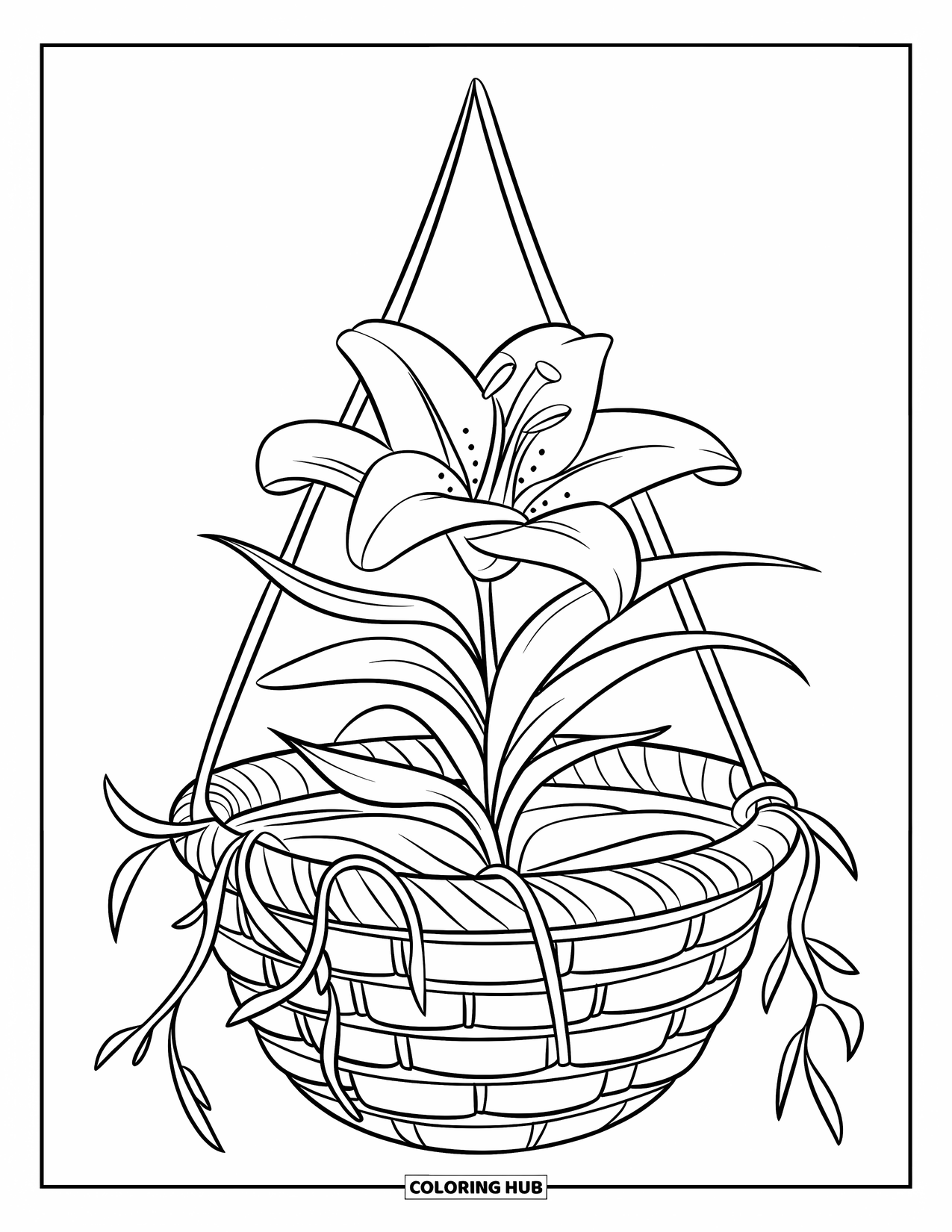 Lily Coloring Page for Kids: A woven basket holds a lily with hanging vines and roots