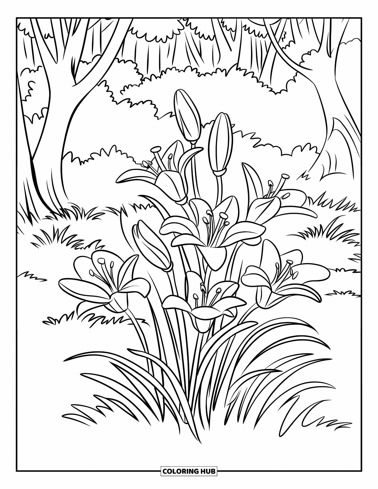 Lily Coloring Page for Kids: Lilies grow among tall grass in a peaceful forest scene