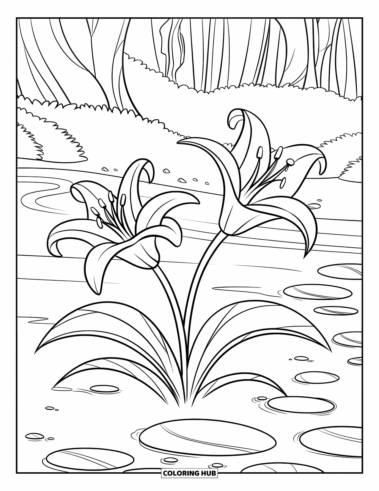 Lily Coloring Page for Kids: Two lilies bloom near a stream with smooth pebbles and tall trees
