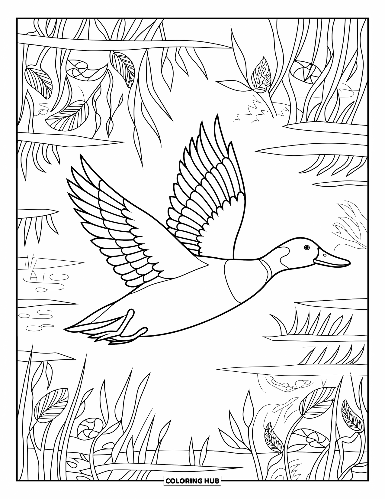 Mallard Duck Coloring Page for Adults: Mallard flying with stained glass marsh plants in the background