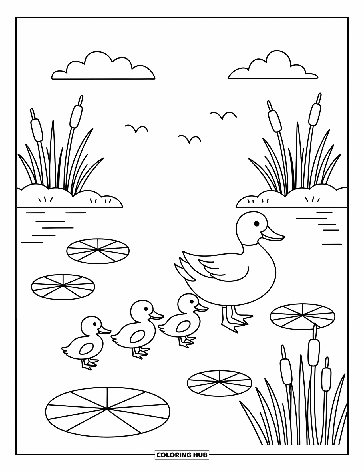Mallard Duck Coloring Page for Adults: Mallard leading ducklings across lily pads framed by cattails and a footpath