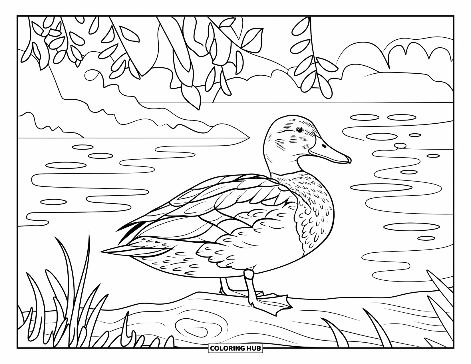Mallard Duck Coloring Page for Adults: Mallard on a log with stained glass water and a calm lake view