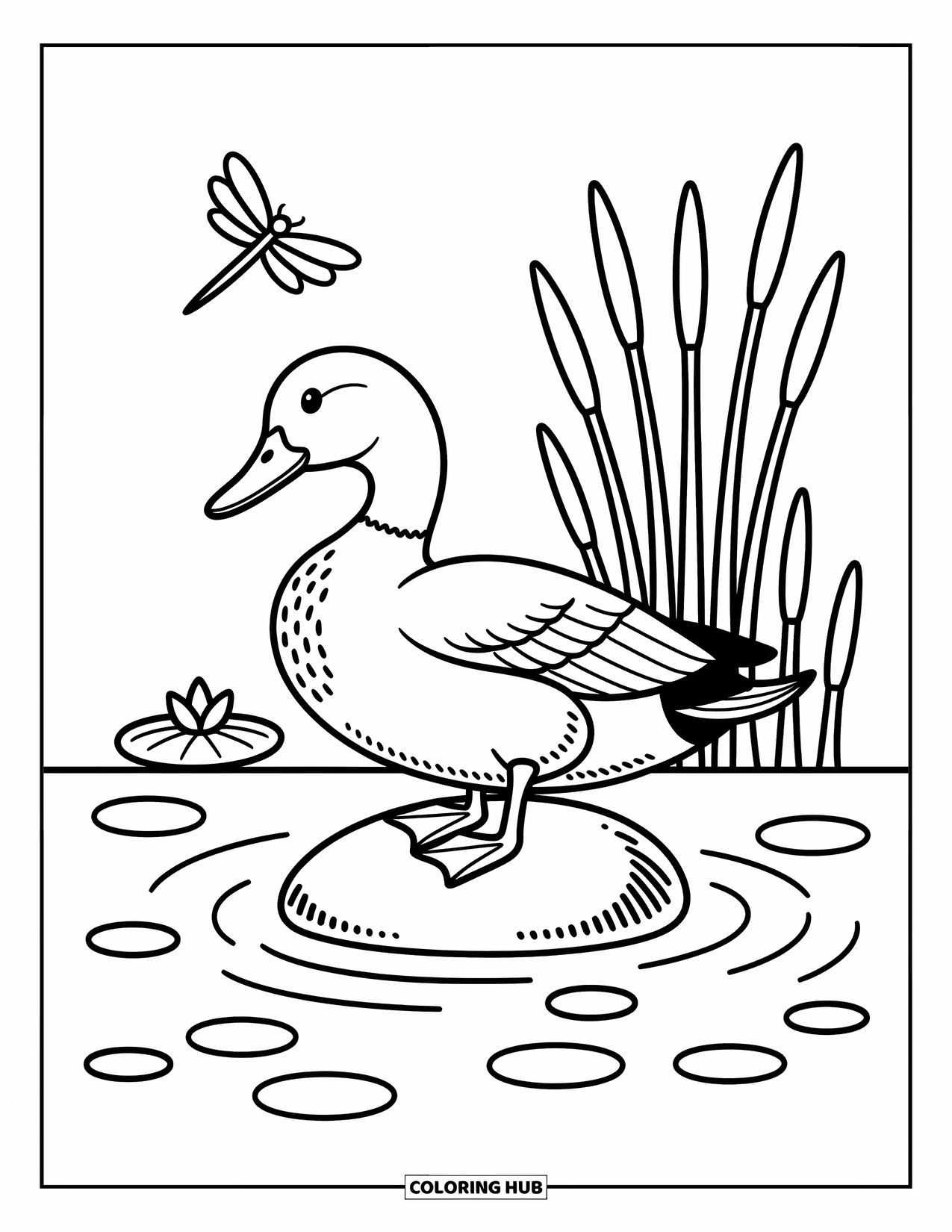 Mallard Duck Coloring Page for Adults: Mallard preening on a rock with tall reeds and a dragonfly above a lily pad