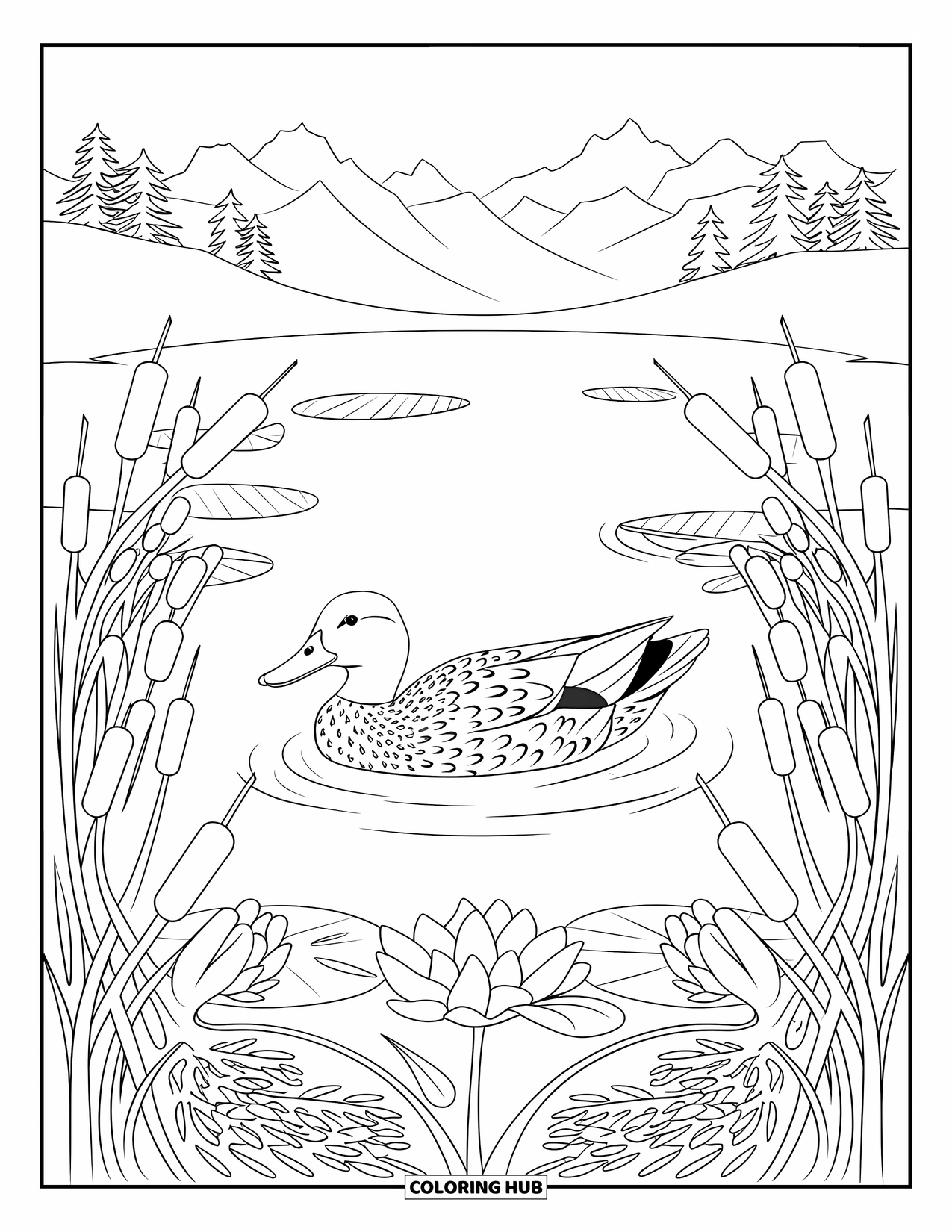 Mallard Duck Coloring Page for Adults: Mallard swimming in a pond framed by a botanical mandala