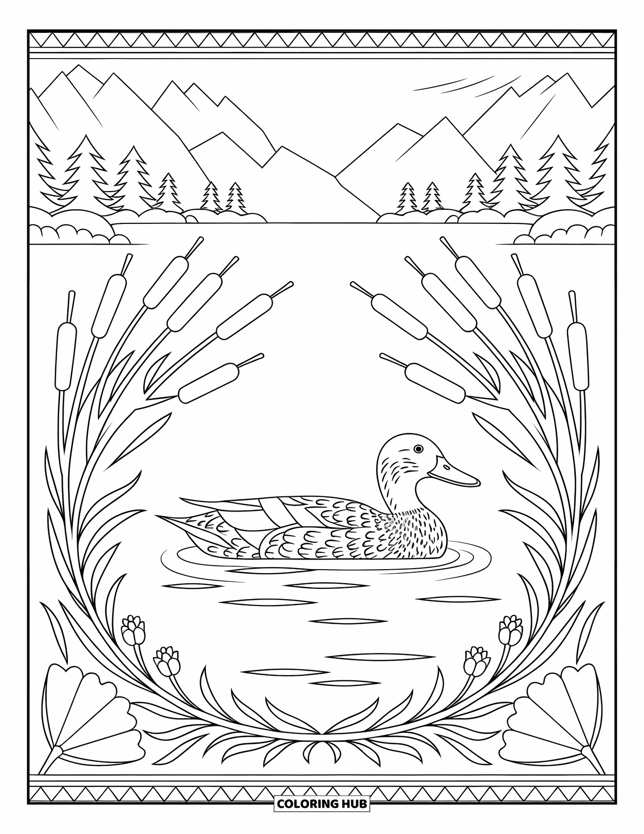Mallard Duck Coloring Page for Adults: Mallard swimming with cattails and lilies in a botanical mandala